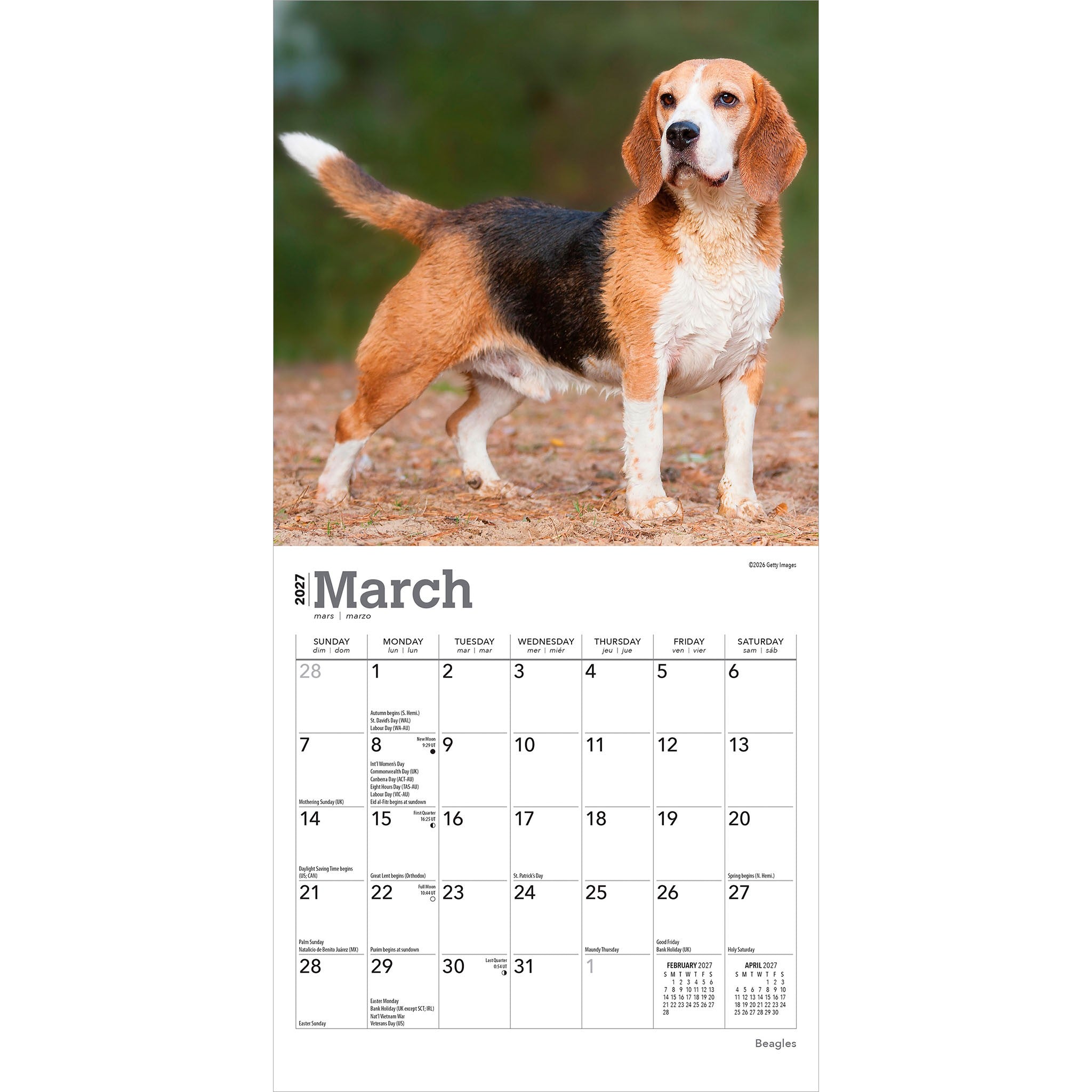 Beagles 2027 Mini Calendar