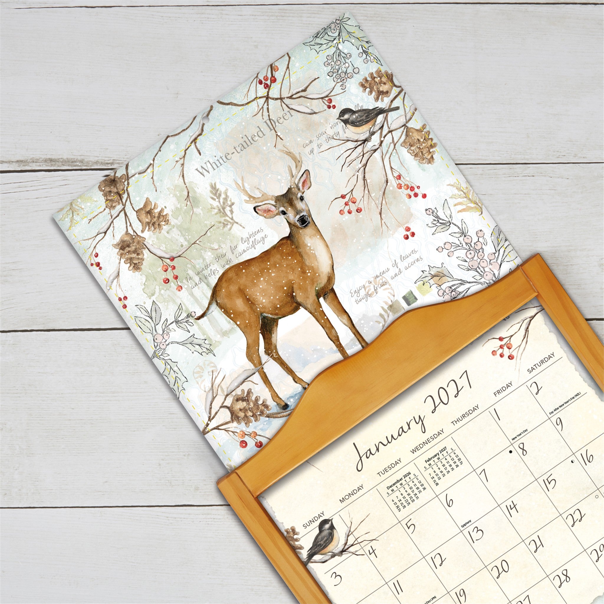 Field Guide 2027 Wall Calendar