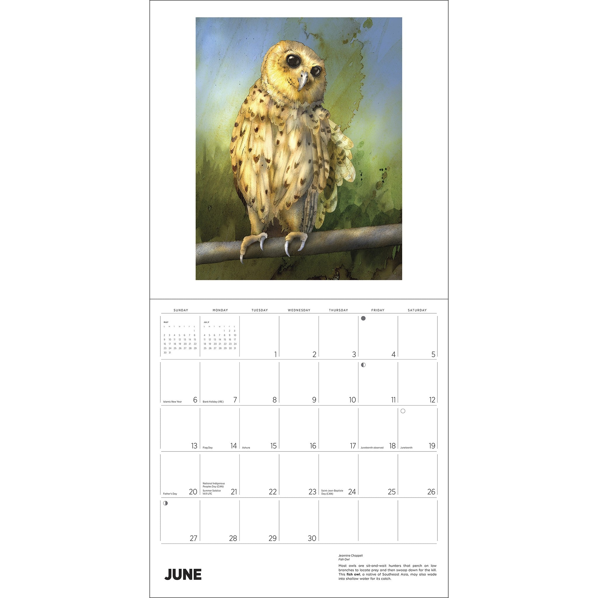 Owls Jeannine Chappell 2027 Wall Calendar