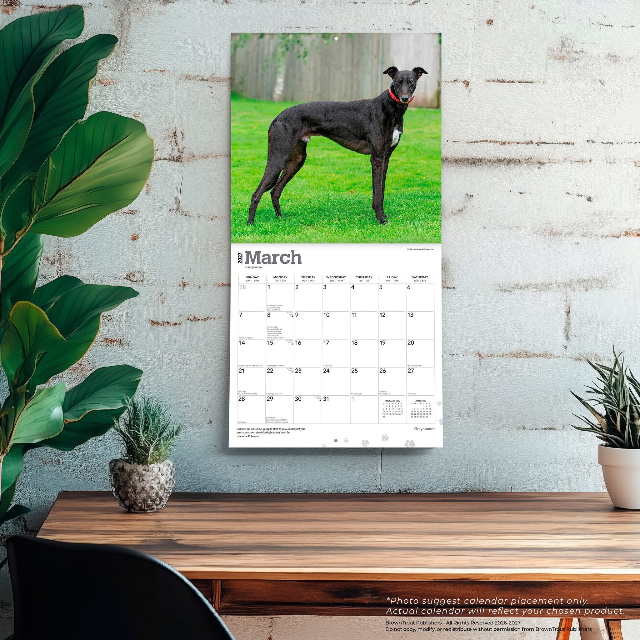 Greyhounds 2027 Wall Calendar