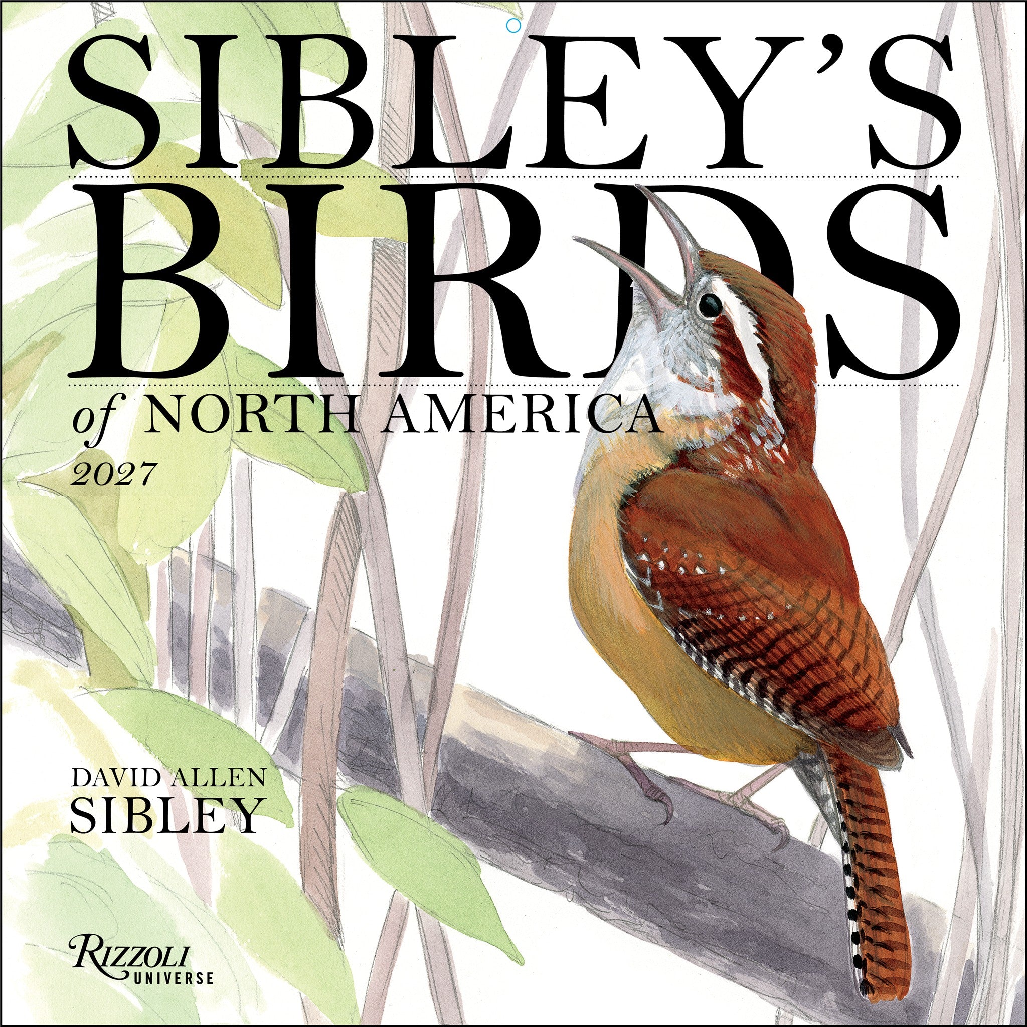 Sibley's Birds of North America 2027 Wall Calendar - Online Only