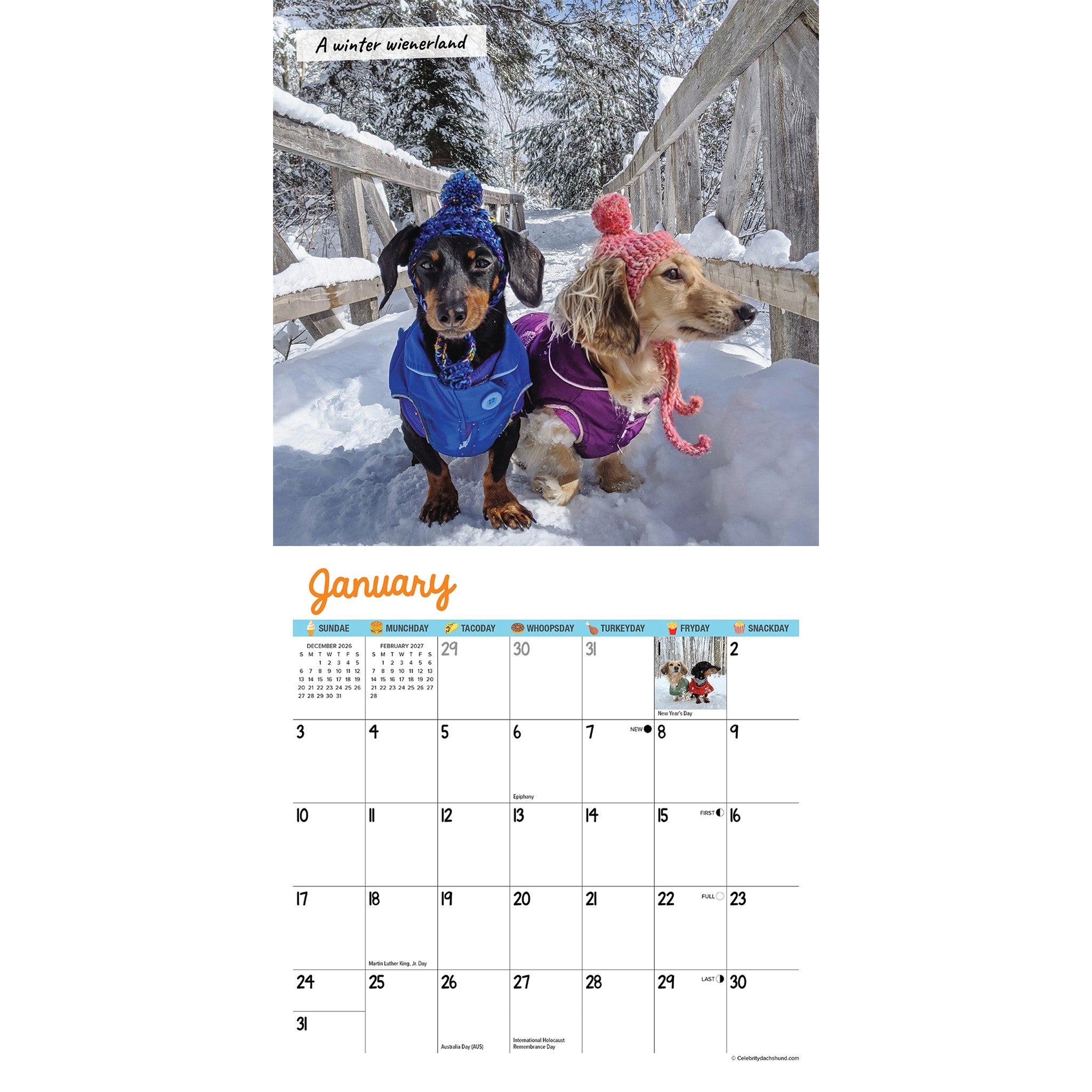 Crusoe the Celebrity Dachshund 2027 Mini Calendar