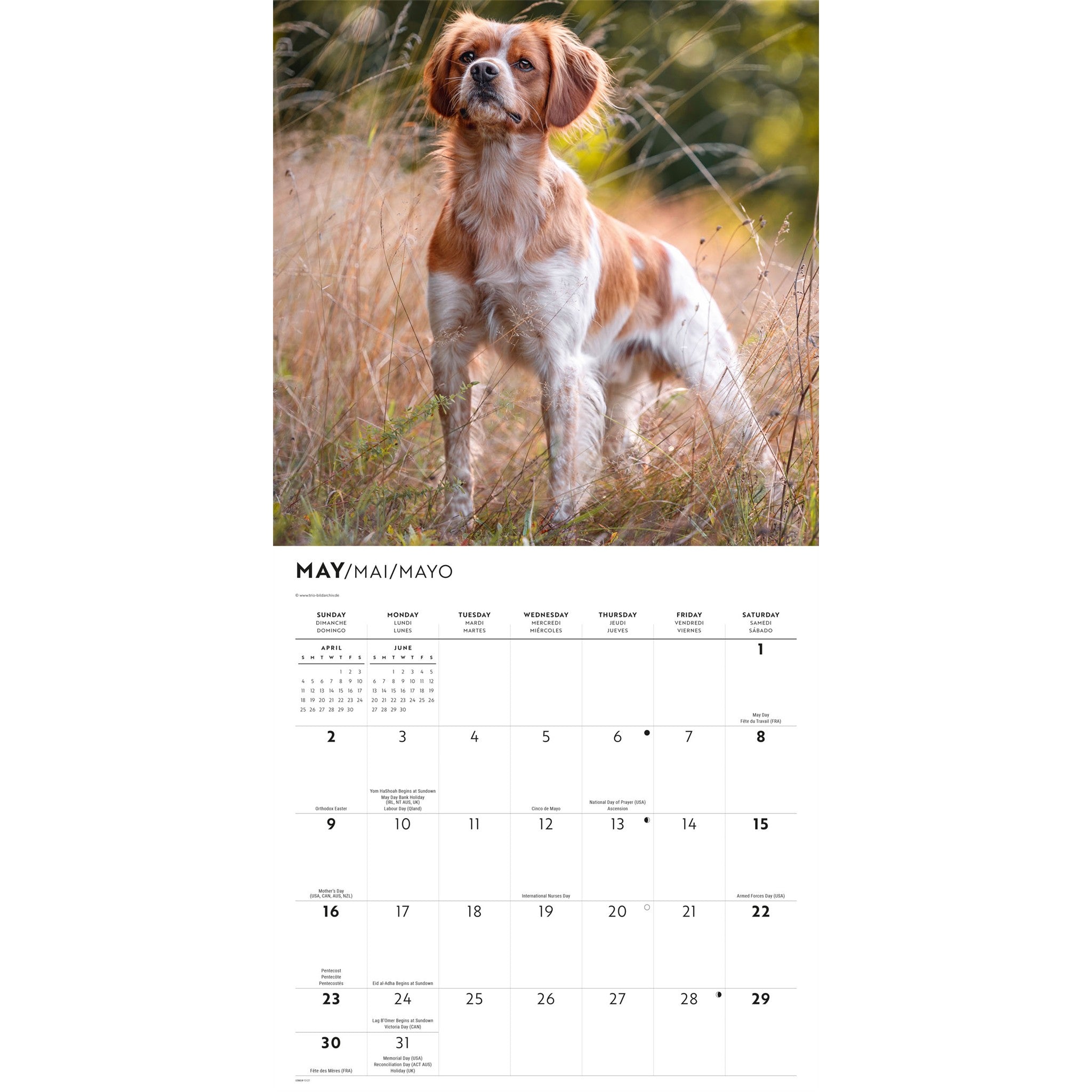 Calendrier mural Brittanys 2027
