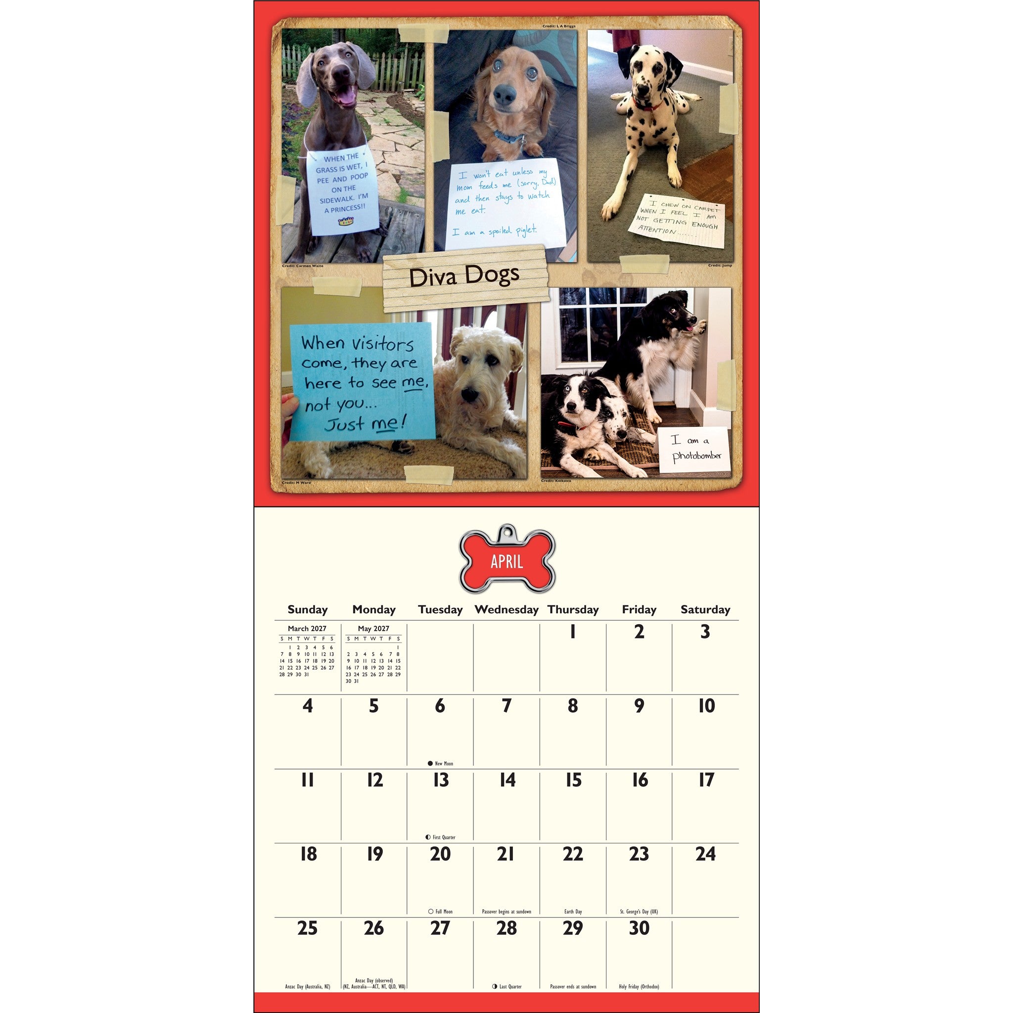 Calendrier mural 2027 : La honte des chiens