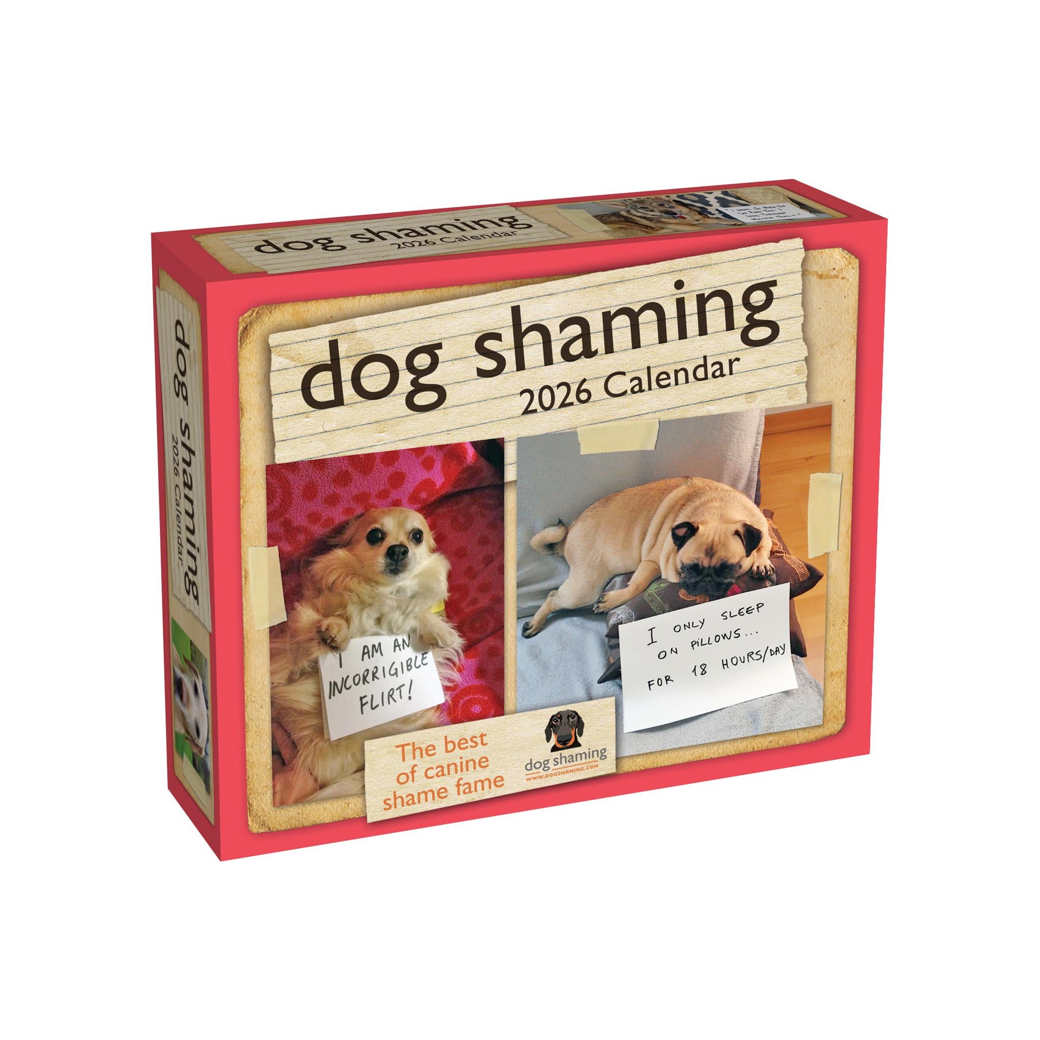 Dog Shaming 2026 Box Calendar
