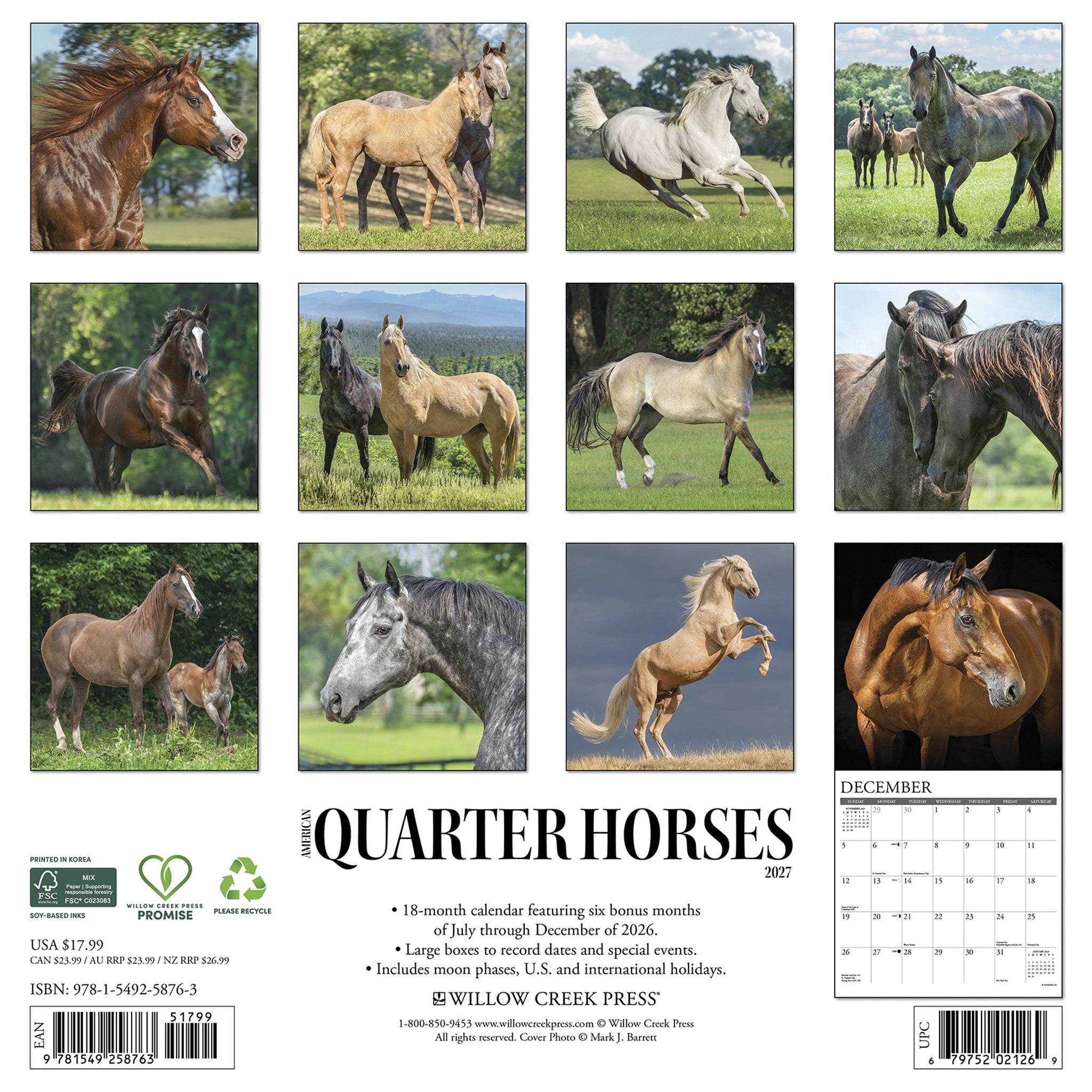American Quarter Horses 2027 Wall Calendar