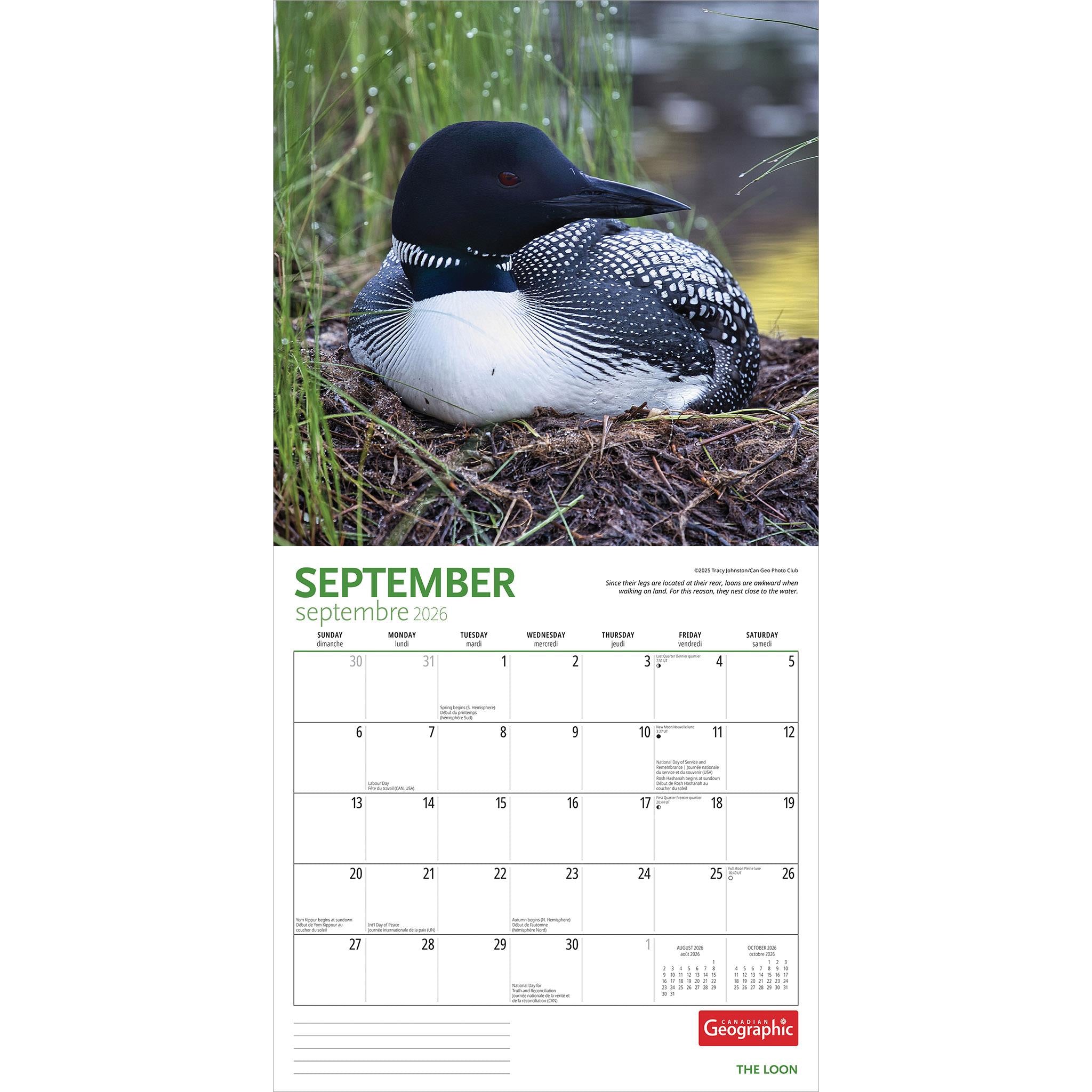 Calendrier mural Canadian Geographic Loon 2026 - Disponible uniquement en ligne