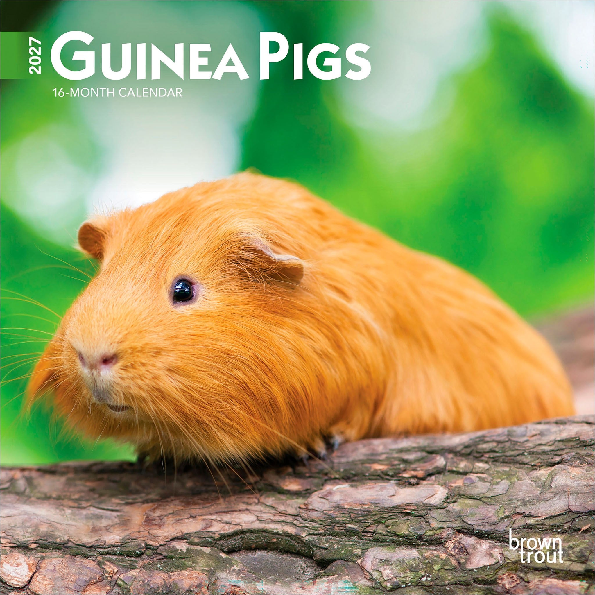 Guinea Pigs 2027 Mini Calendar