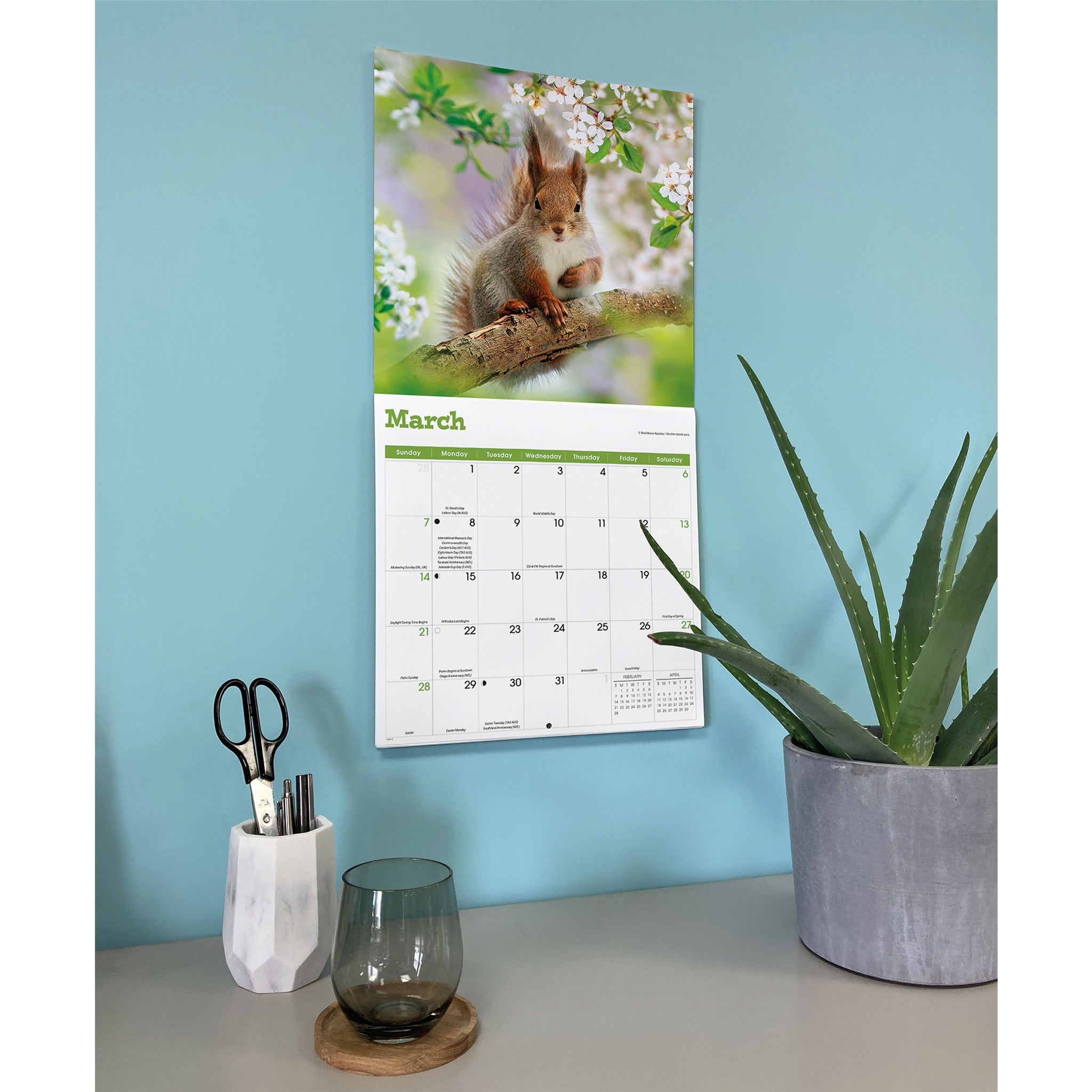 Calendrier mural 2027 : Écureuils
