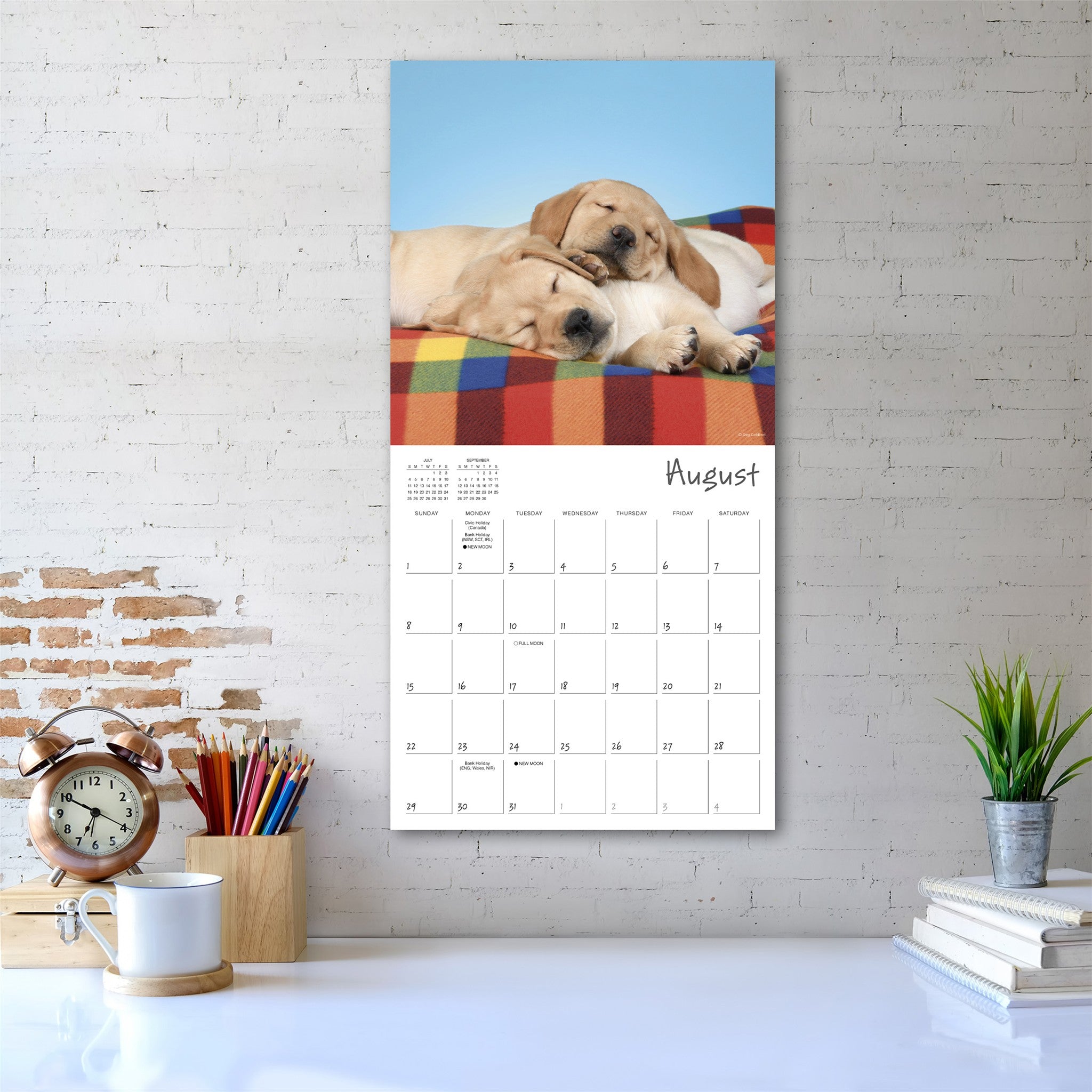 Pooped Puppies 2027 Wall Calendar - Online Only