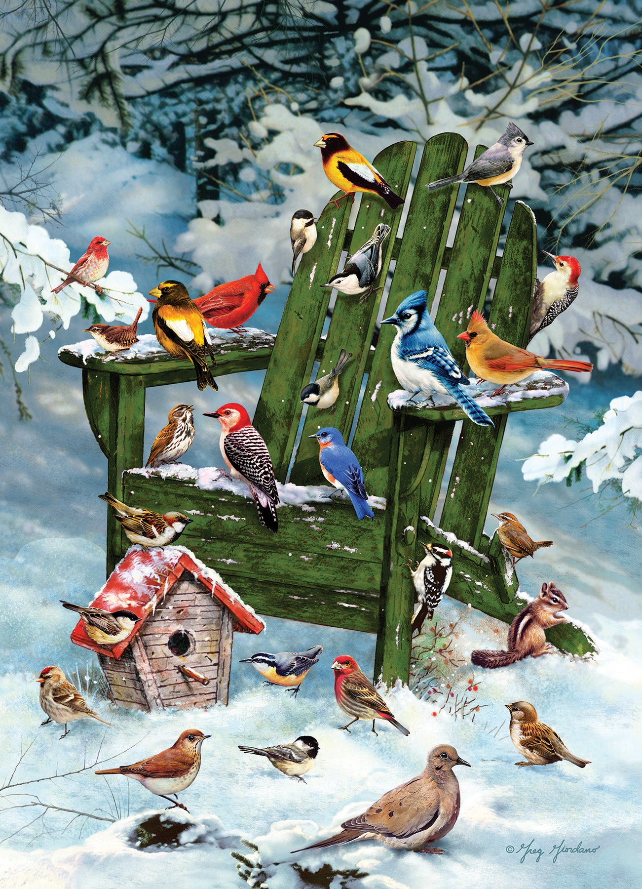 For the Birds Exclusive 1000 Piece Puzzle