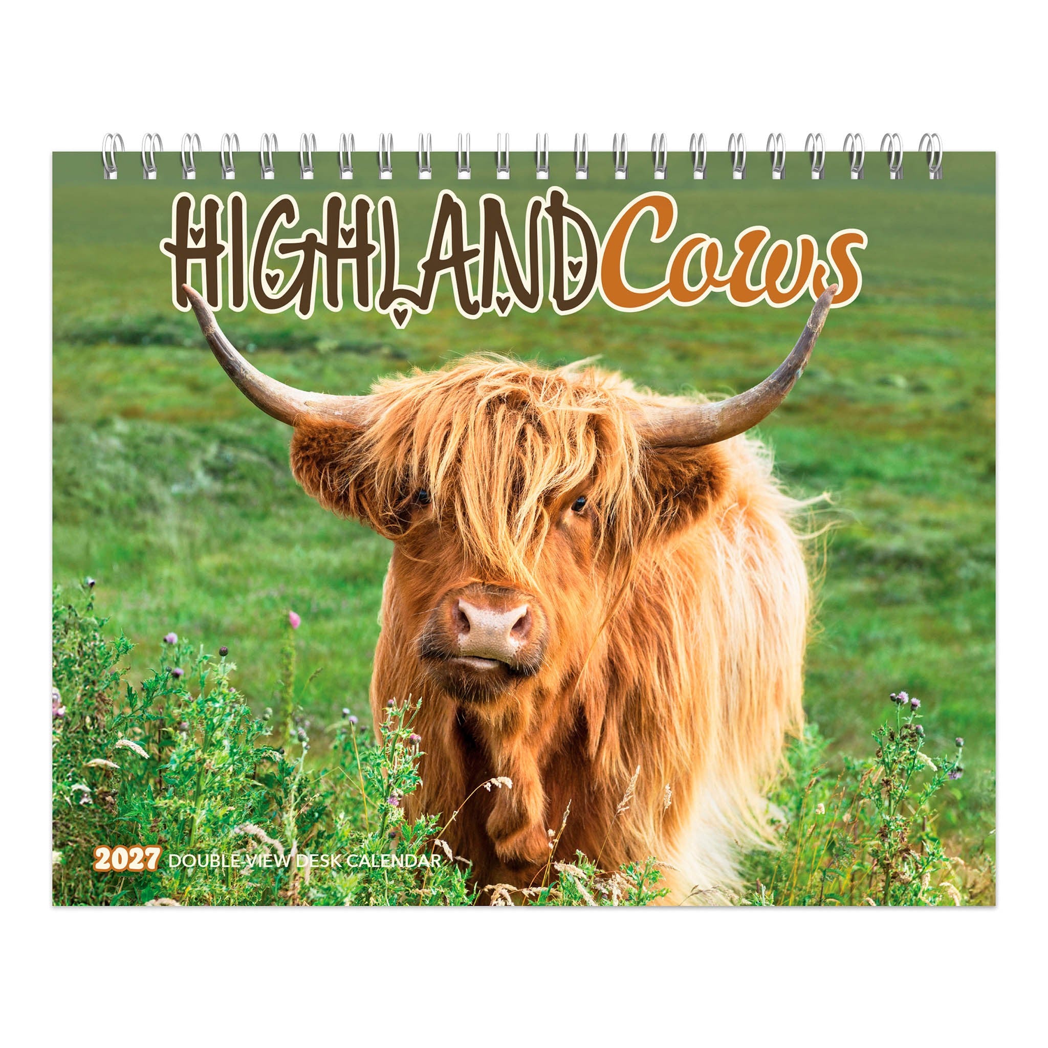 Highland Cows 2027 Easel Calendar