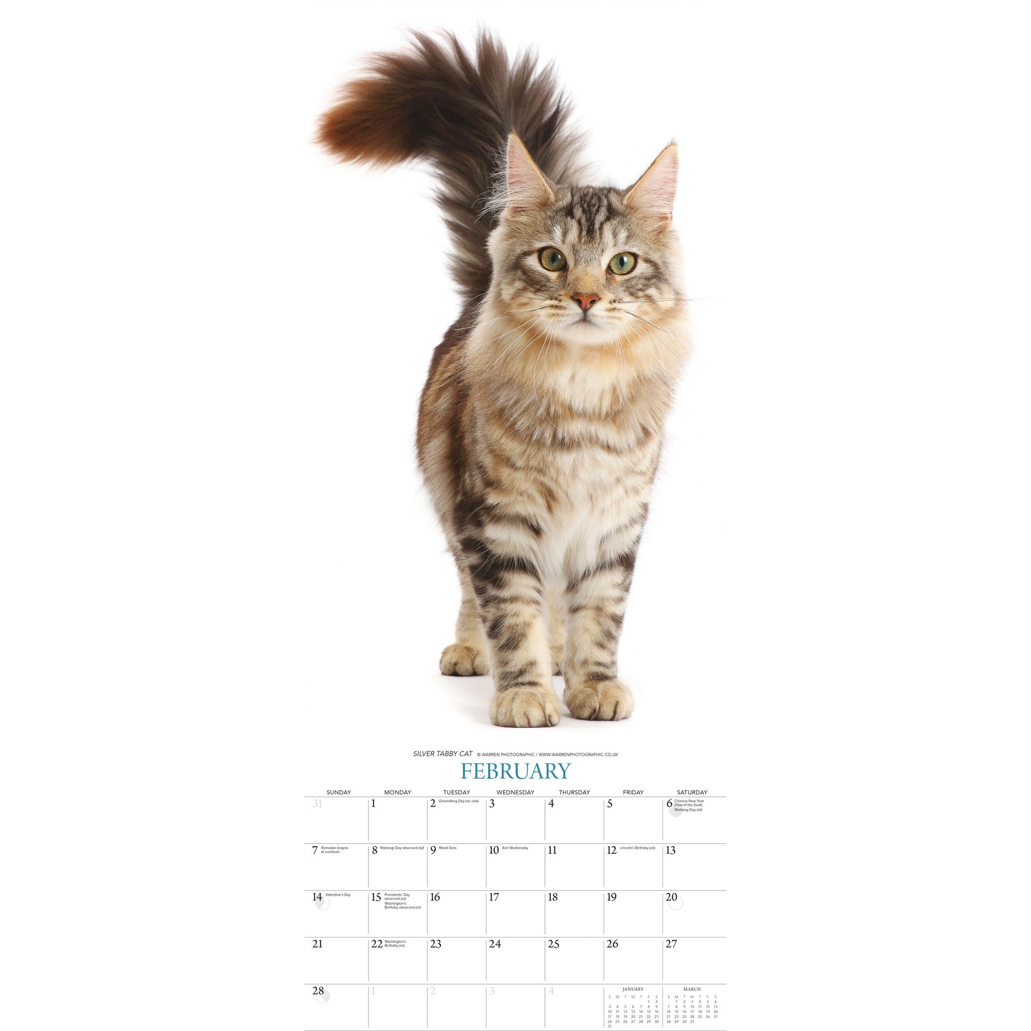 Cats 2027 Poster Calendar
