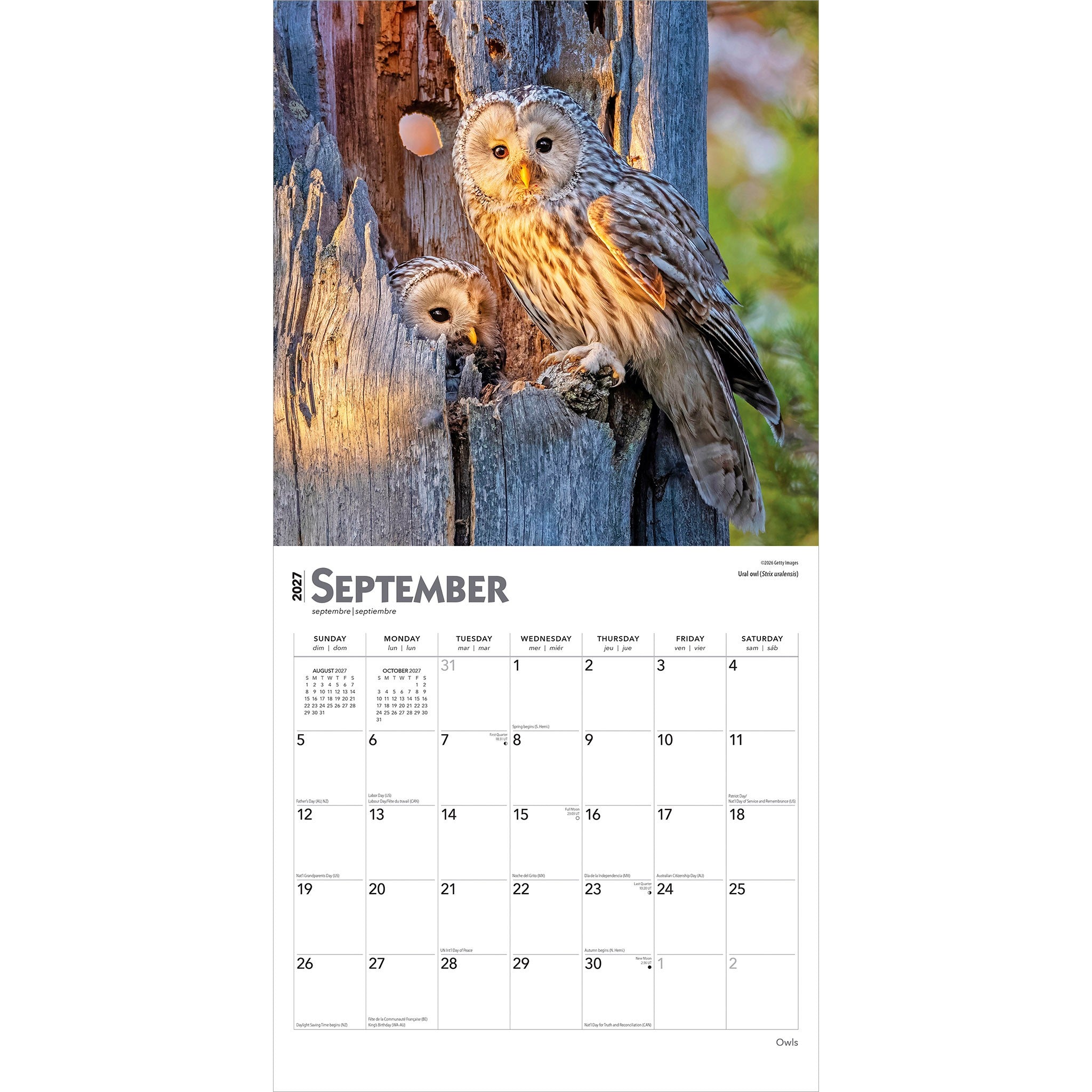 Owls 2027 Wall Calendar - Online Only