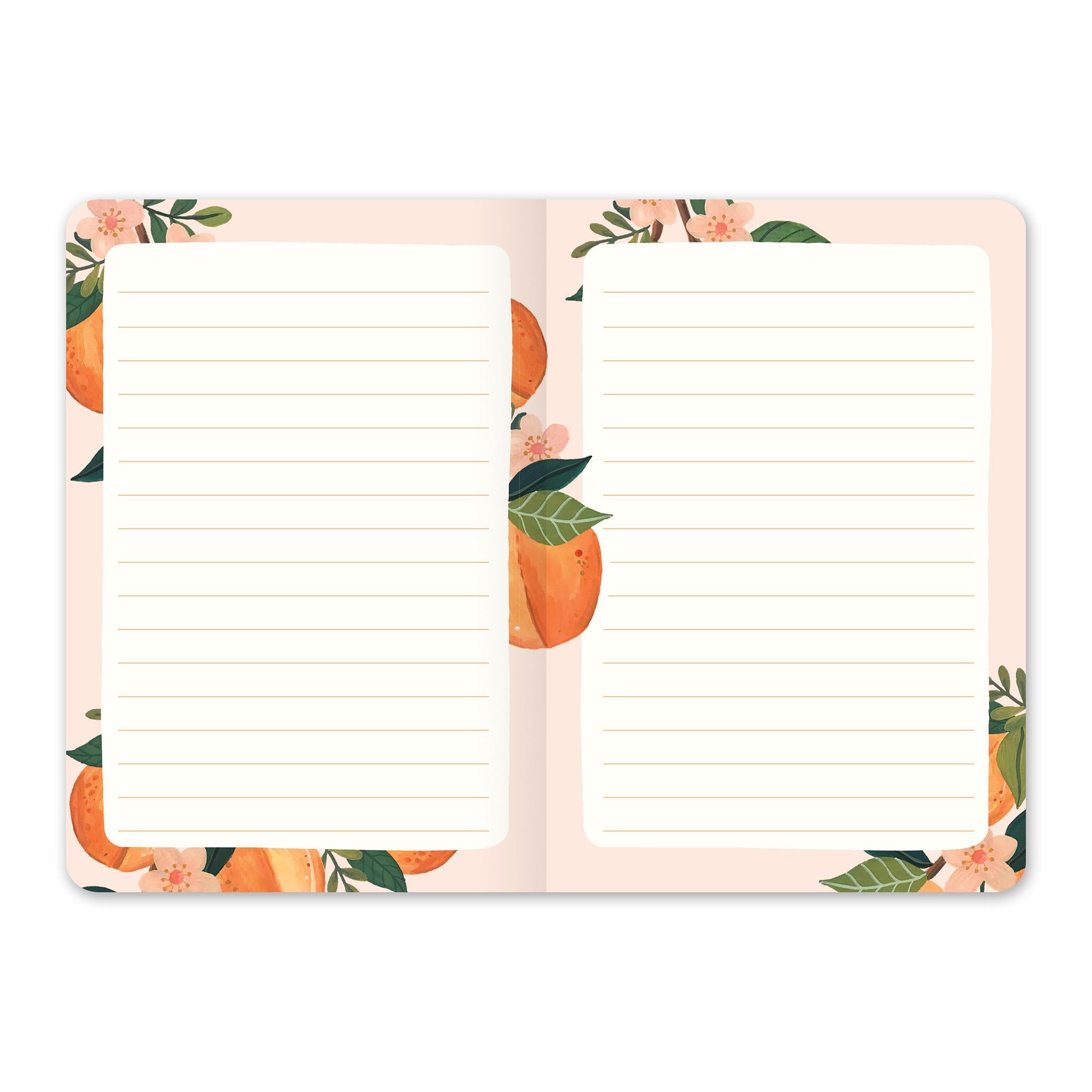 Fruit Flora 2025-2026 Monthly Pocket Planner Calendar - Online Only