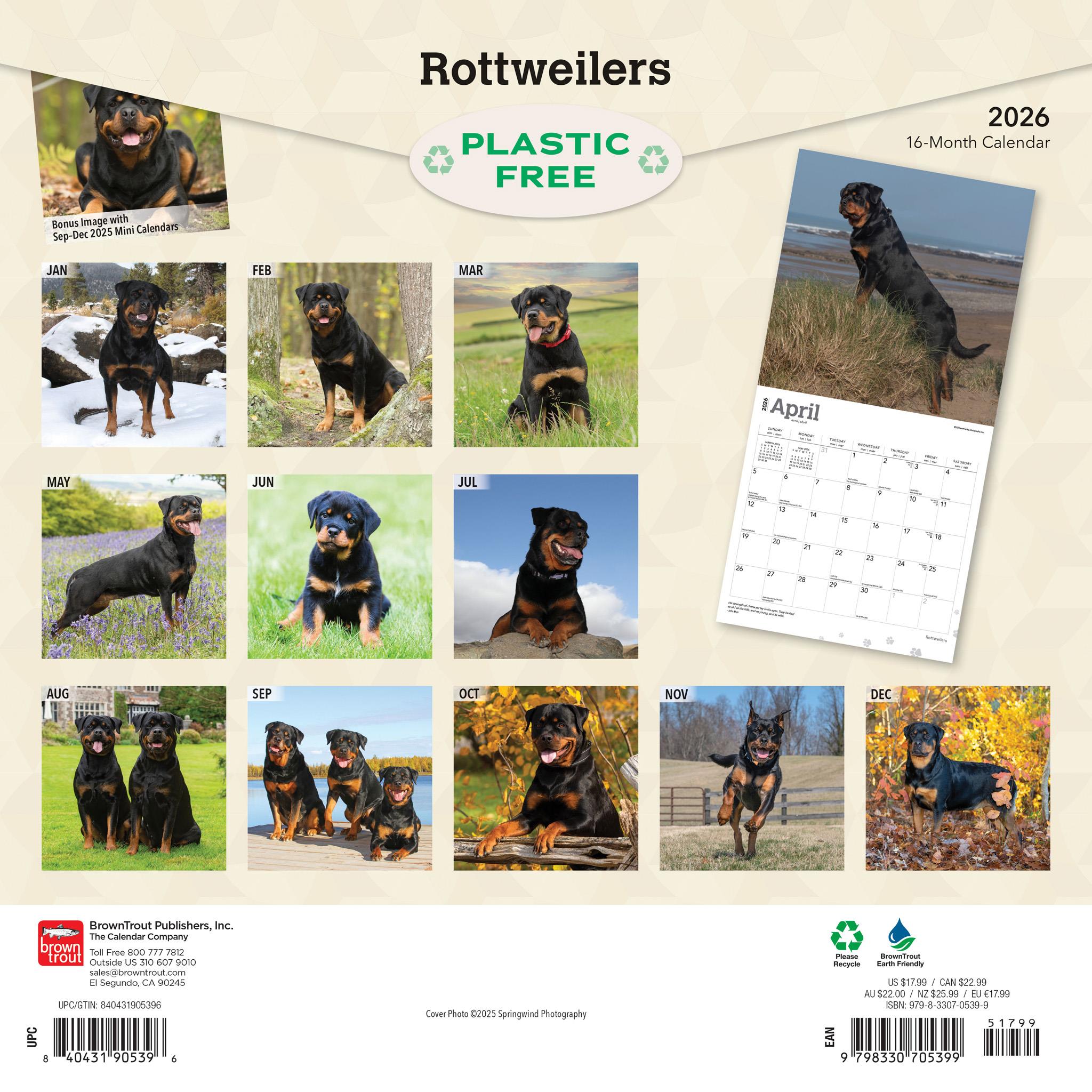 Calendrier mural Rottweilers 2026
