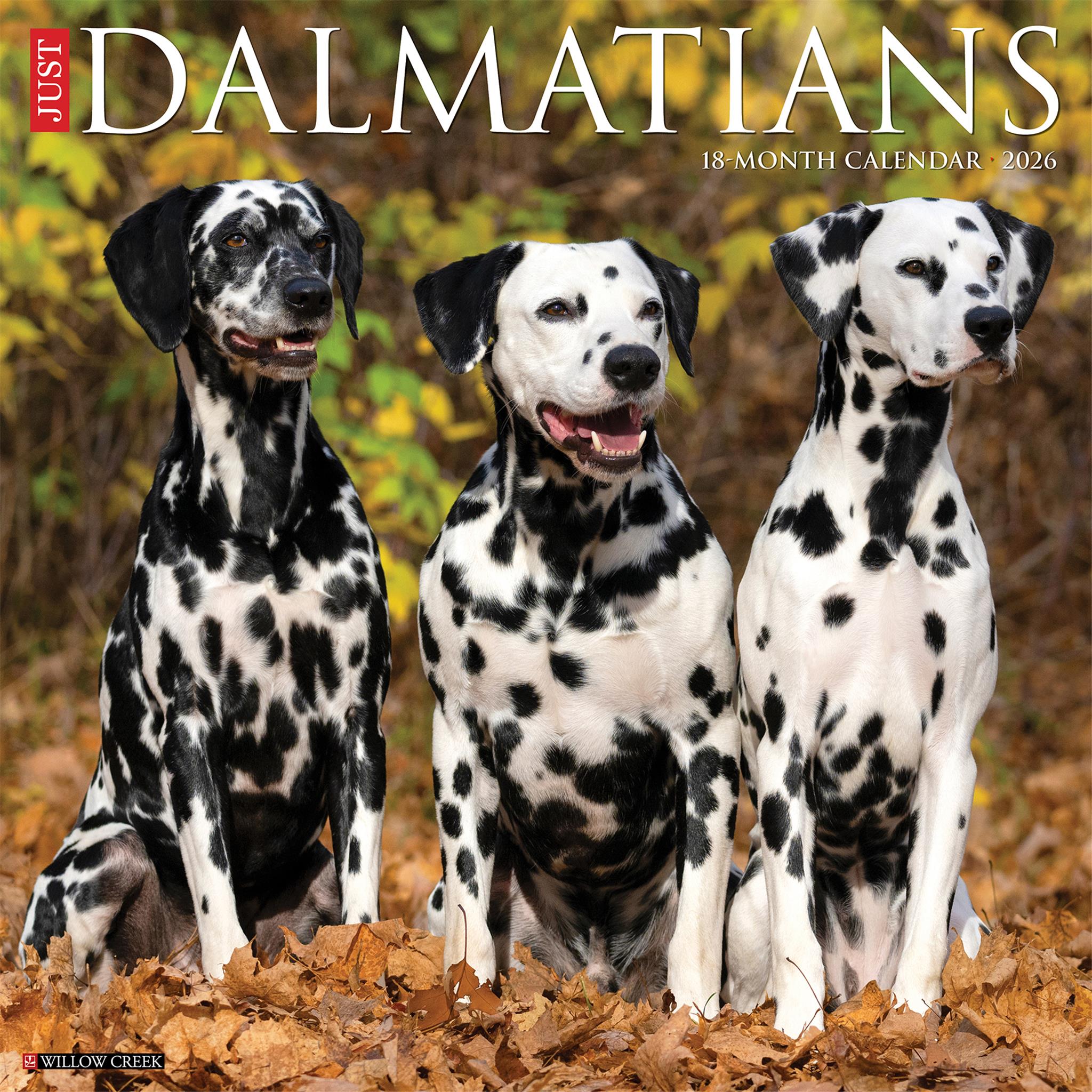 Calendrier mural Just Dalmatians 2026