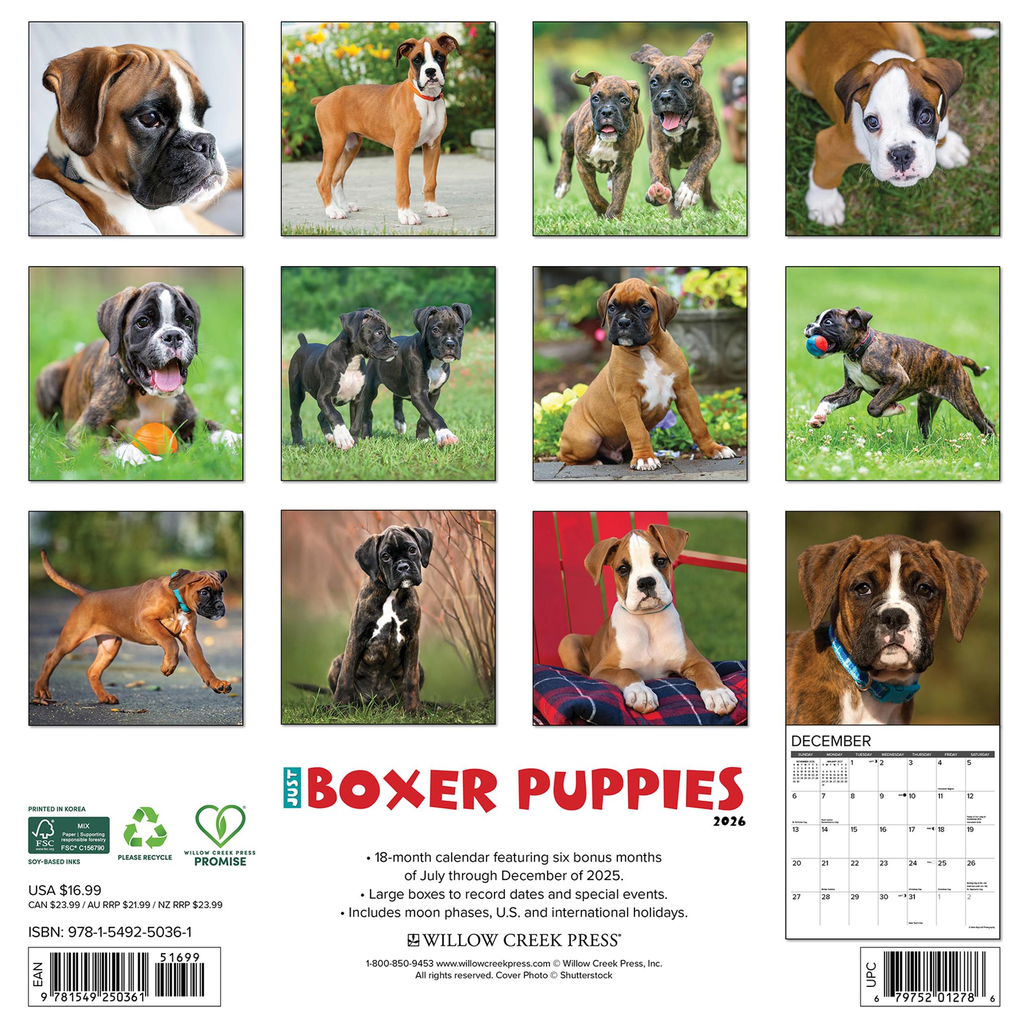 Calendrier mural 2026 « Just Boxer Puppies »