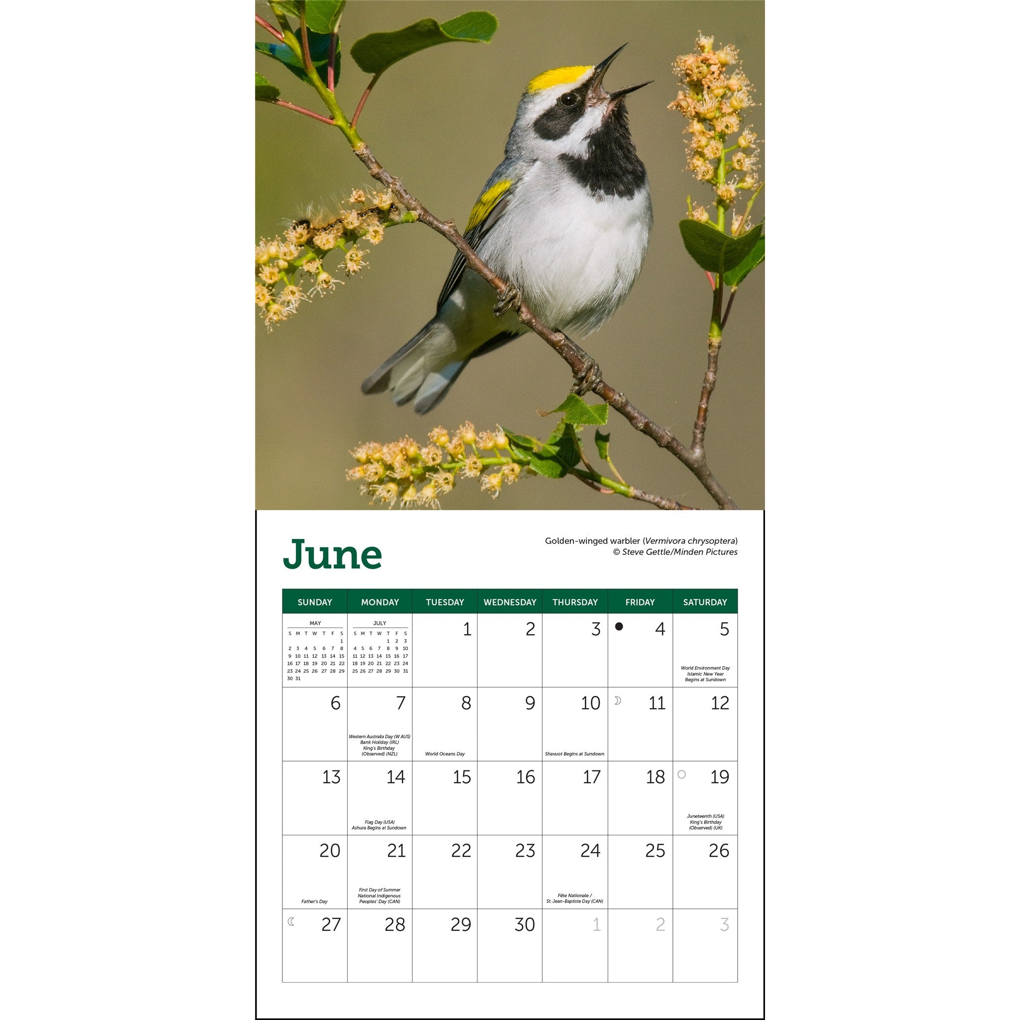 Mini-calendrier 2027 Oiseaux chanteurs