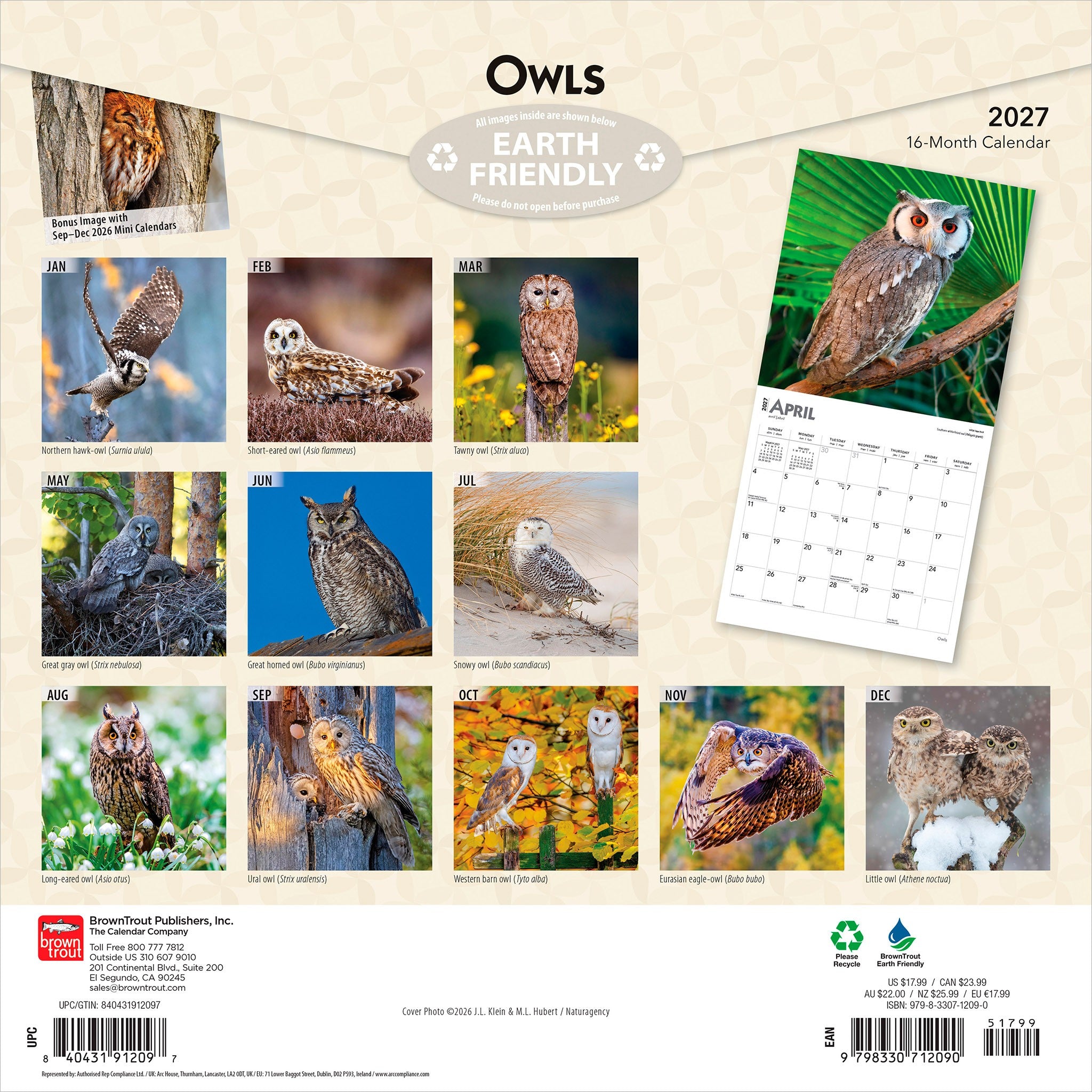 Owls 2027 Wall Calendar - Online Only