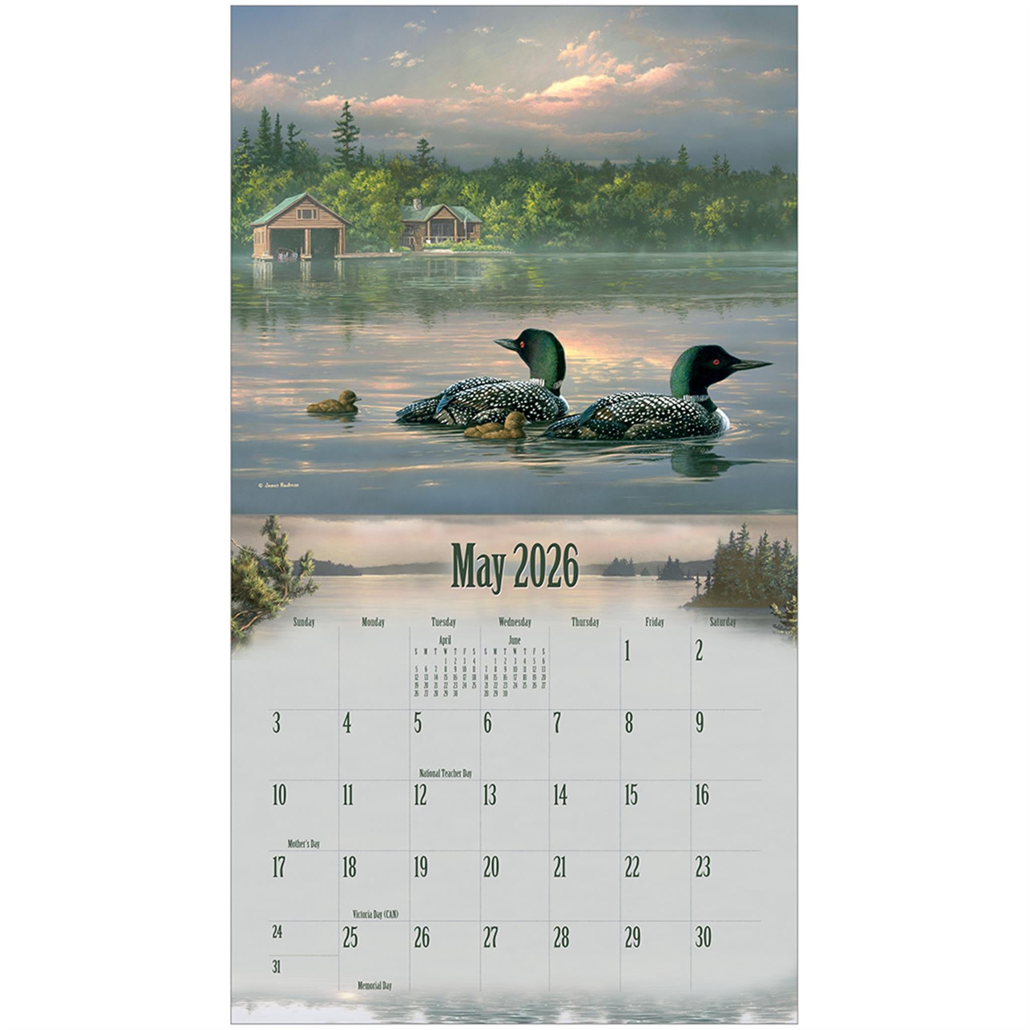 Wildlife 2026 Deluxe Special Edition Wall Calendar with Cards