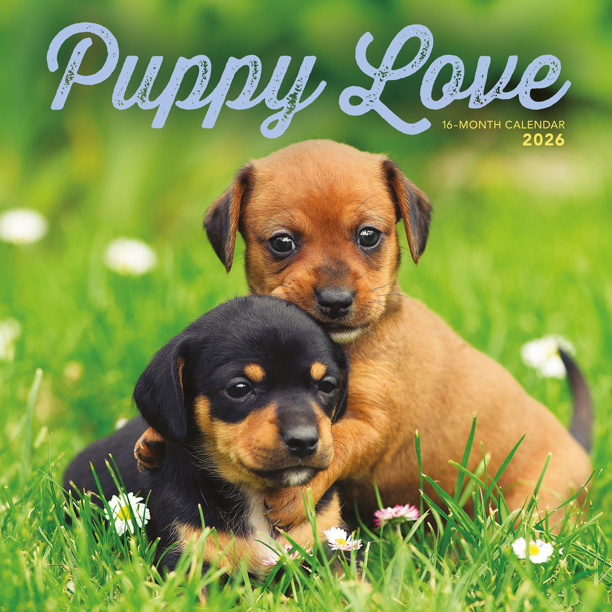 Calendrier mural Puppy Love 2026
