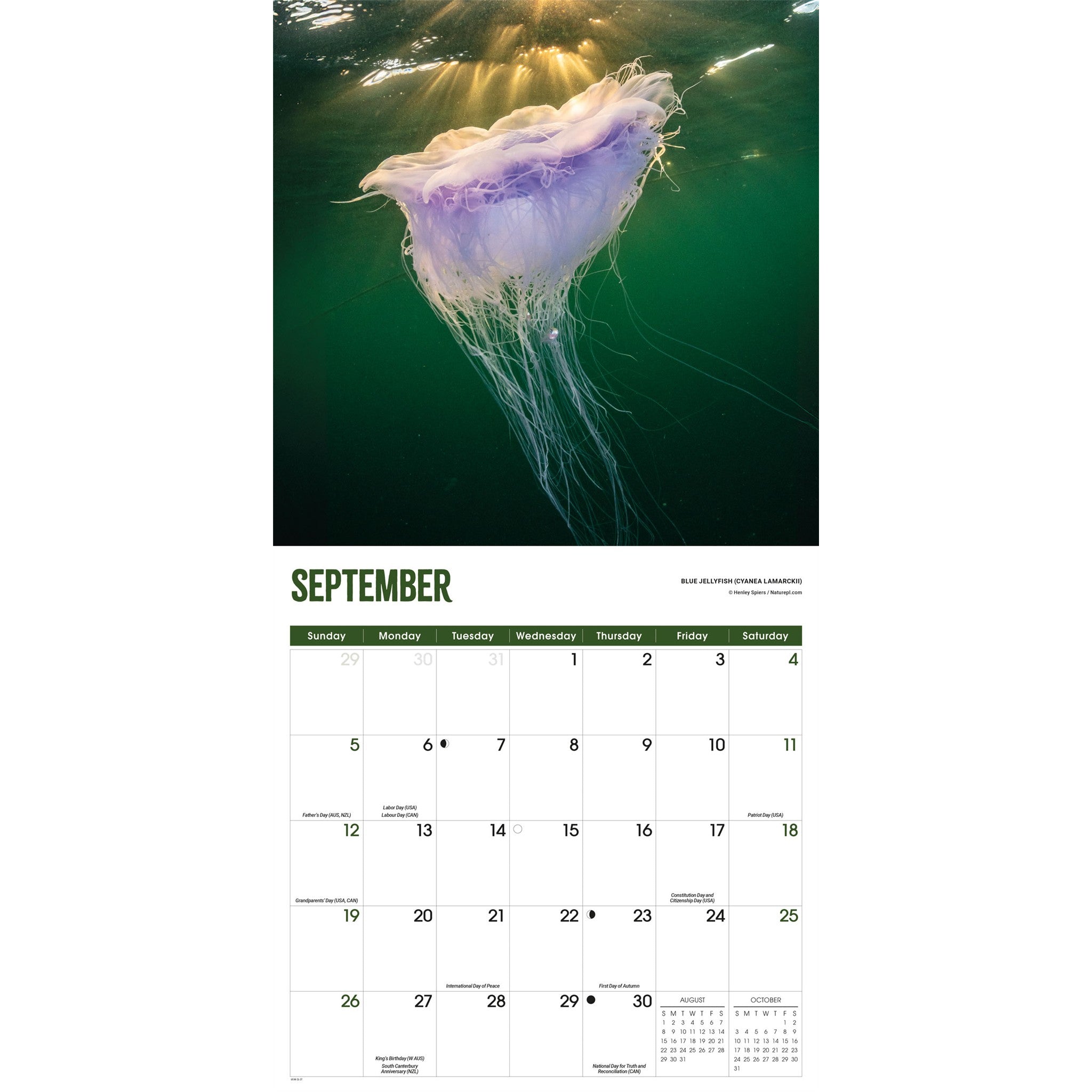 Calendrier mural 2027 Méduses