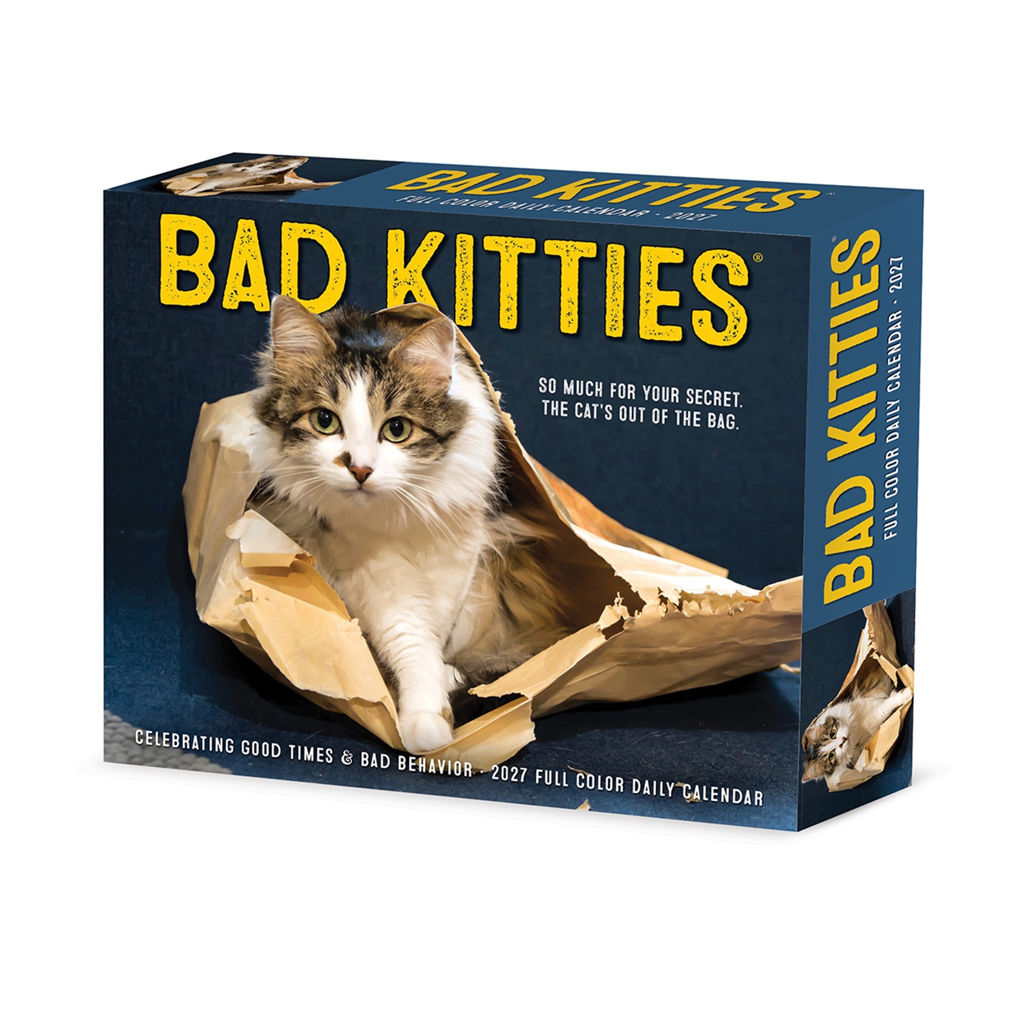 Bad Kitties 2027 Box Calendar - Online Only