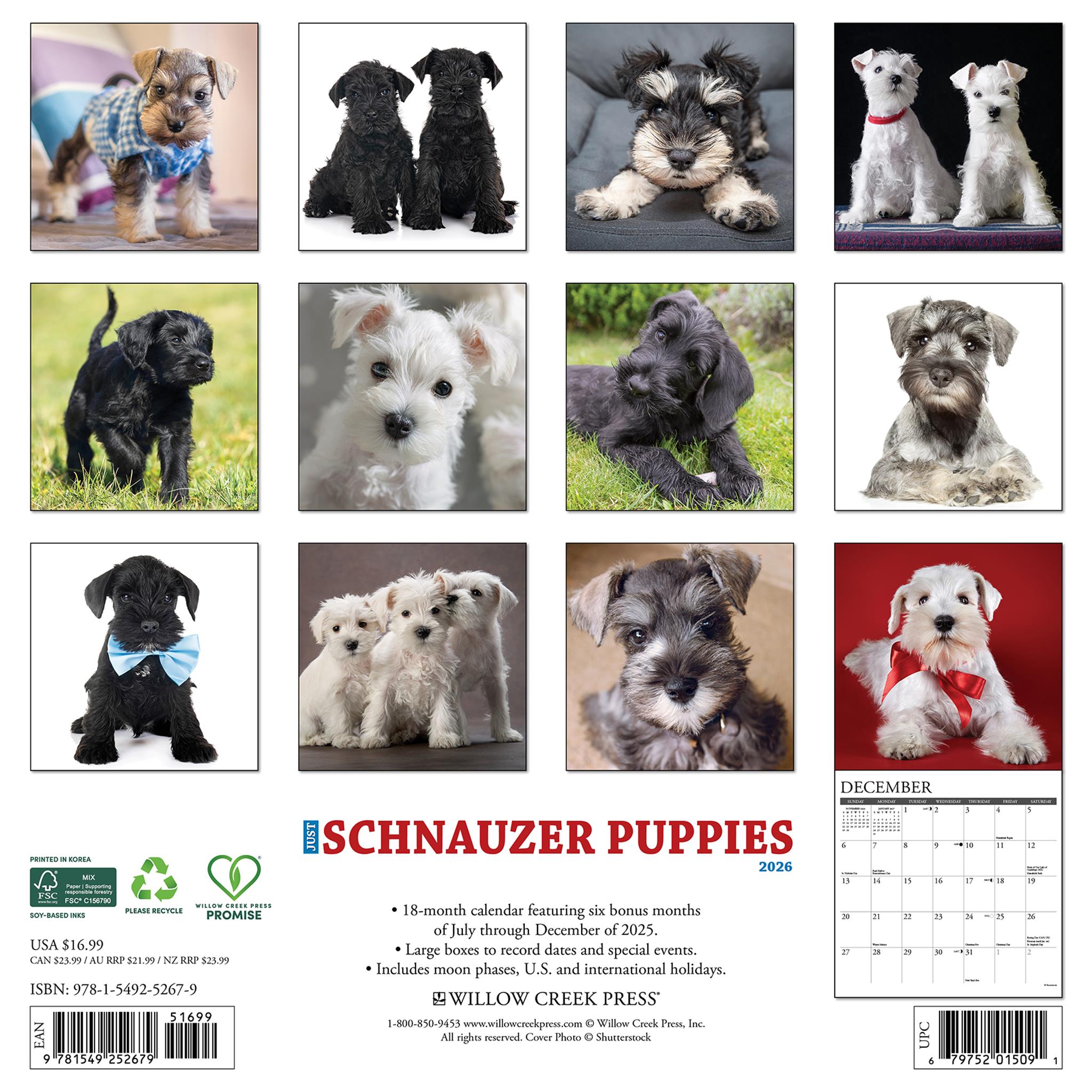 Calendrier mural 2026 « Just Schnauzer Puppies »