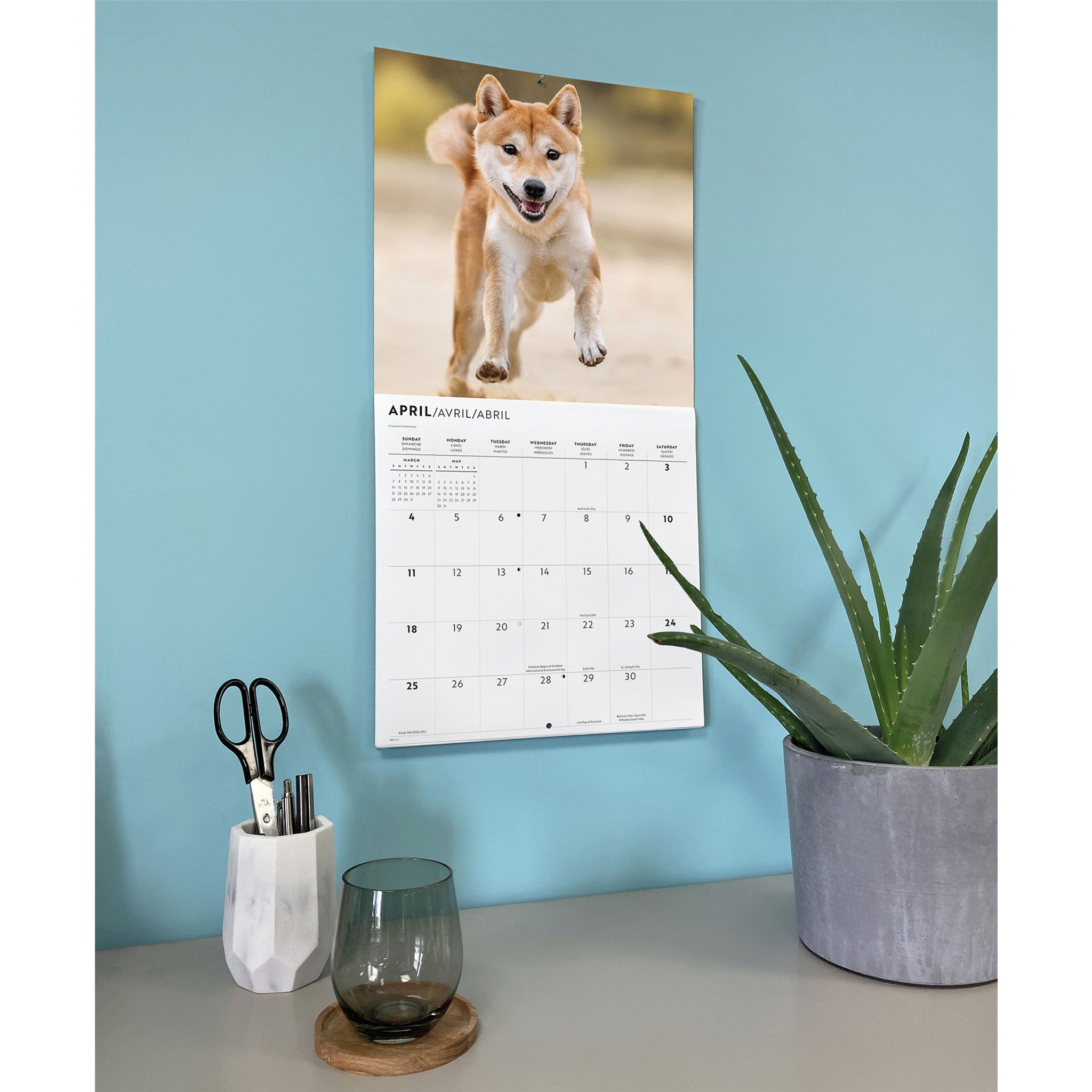 Calendrier mural Shiba Inu 2027