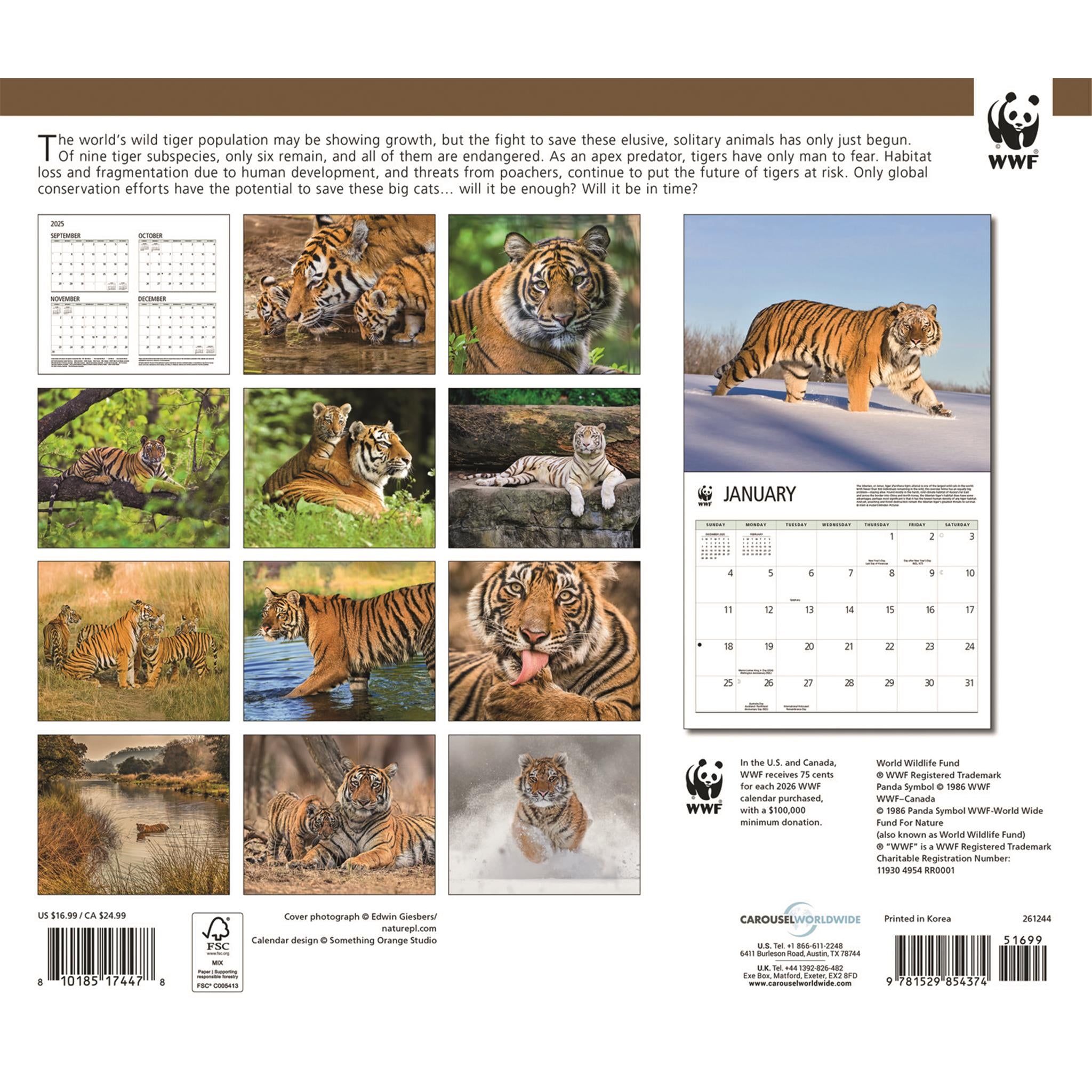 Calendrier mural Tigres 2026 du Fonds mondial pour la nature