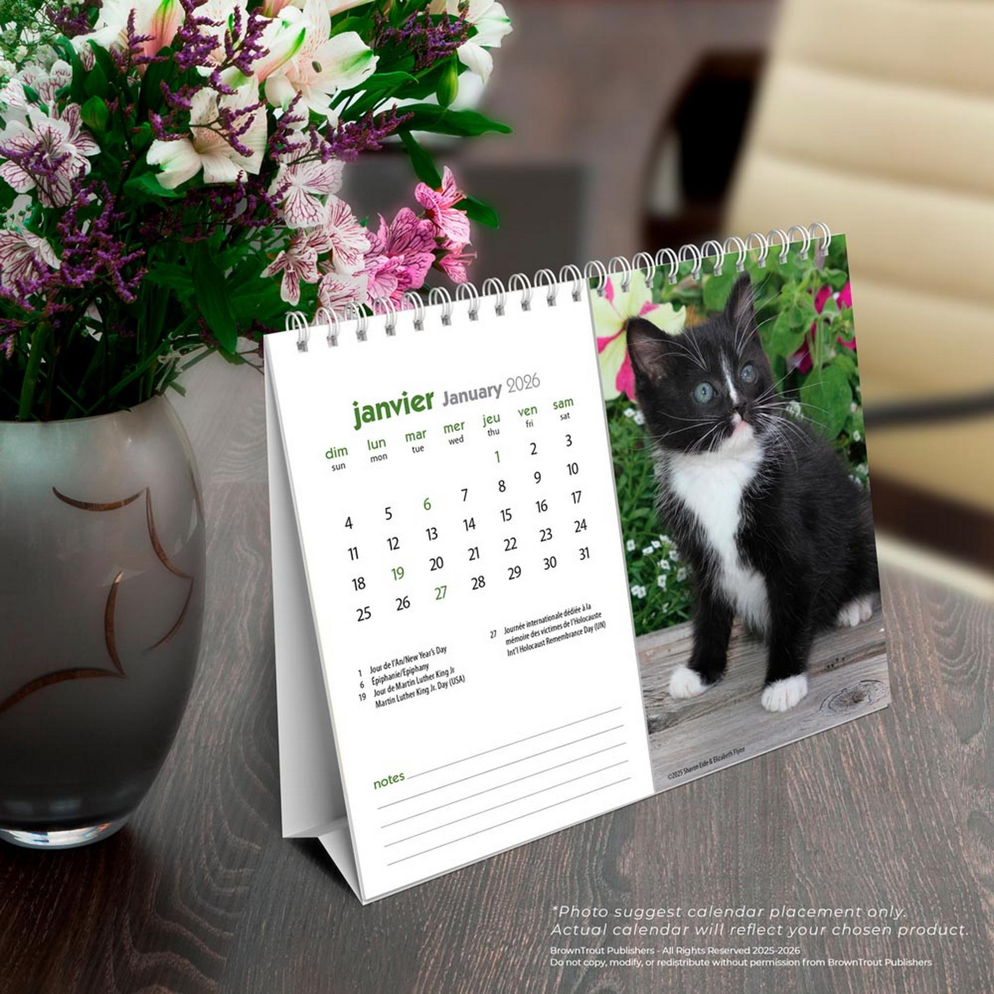 Calendrier chevalet double vue Chatons 2026 (français)