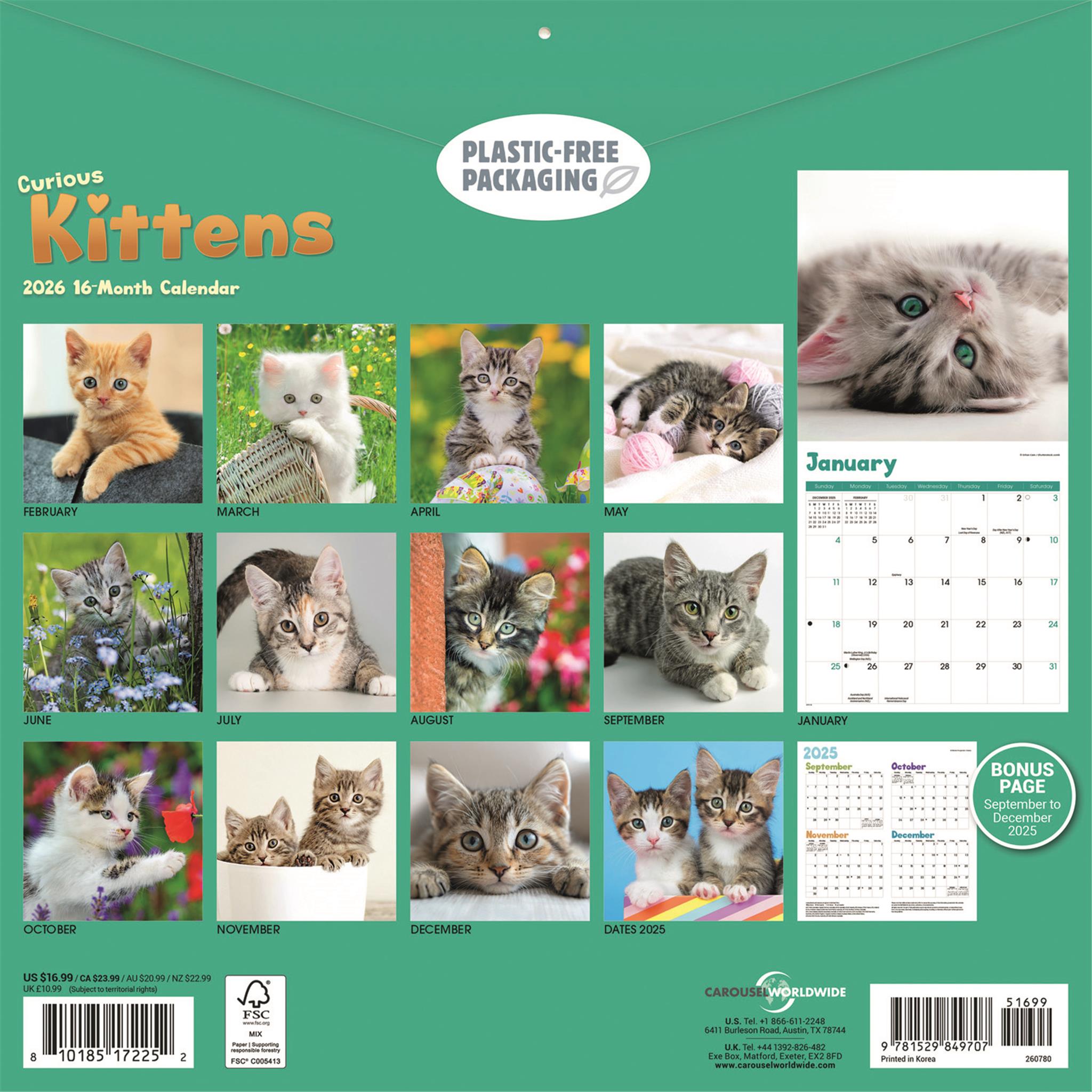 Calendrier mural des chatons curieux 2026
