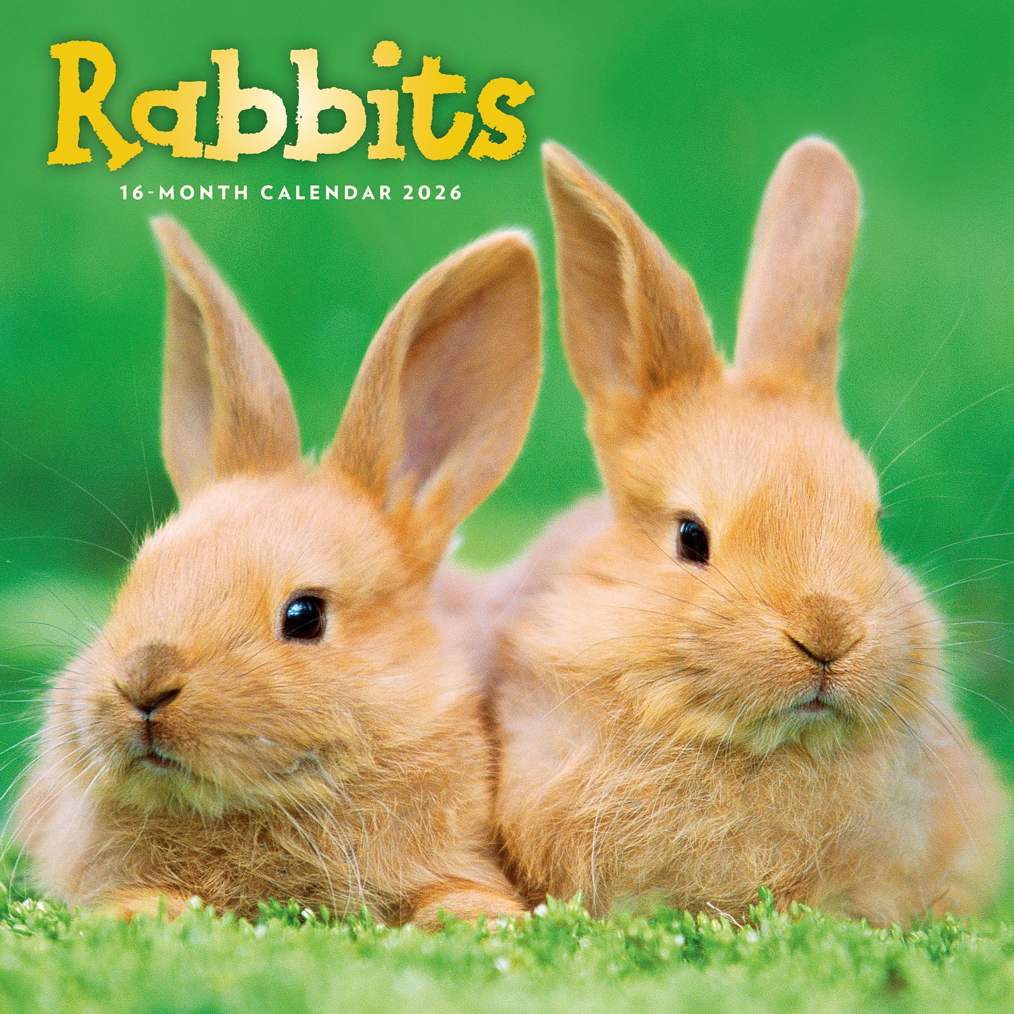 Rabbits 2026 Wall Calendar