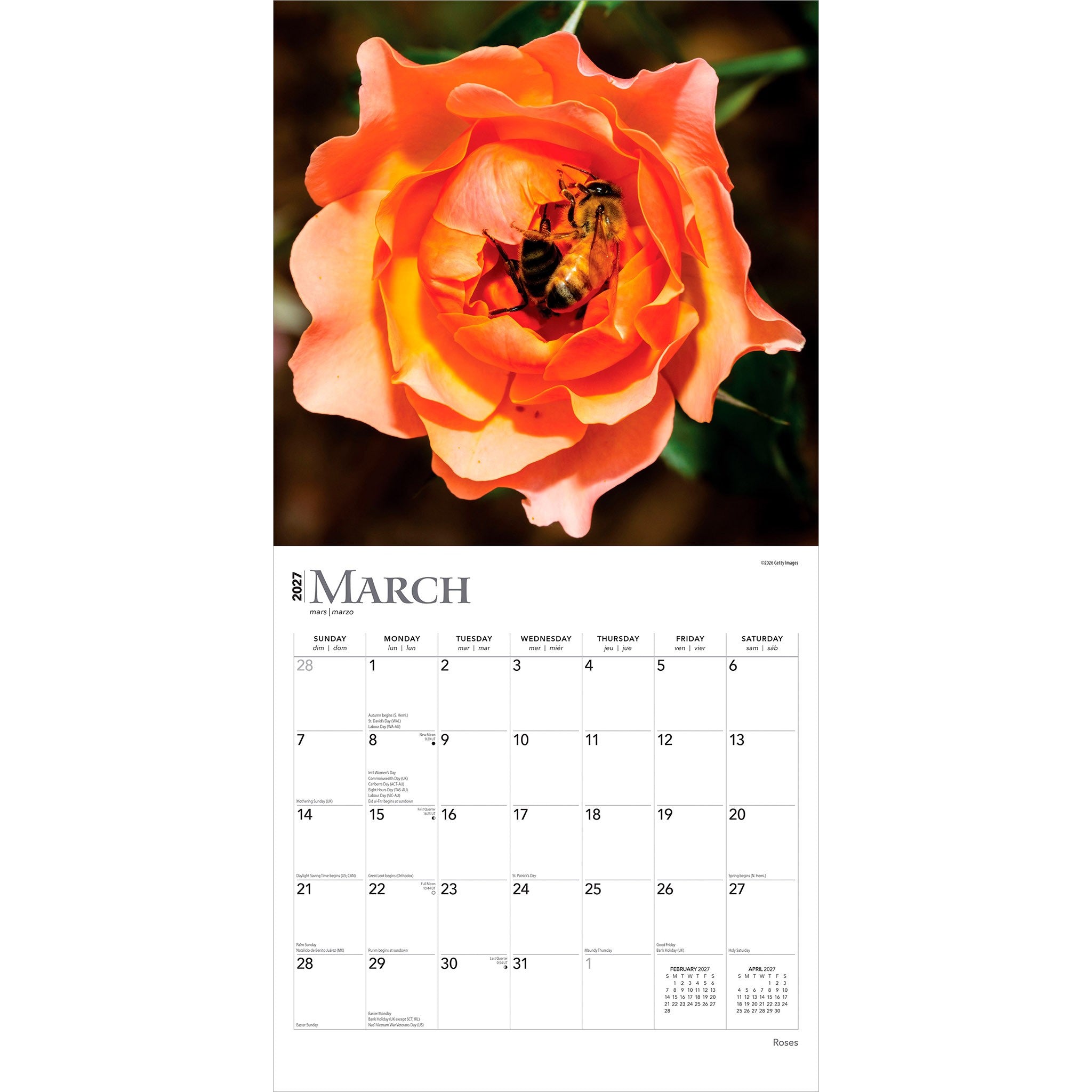 Roses 2027 Wall Calendar - Online Only