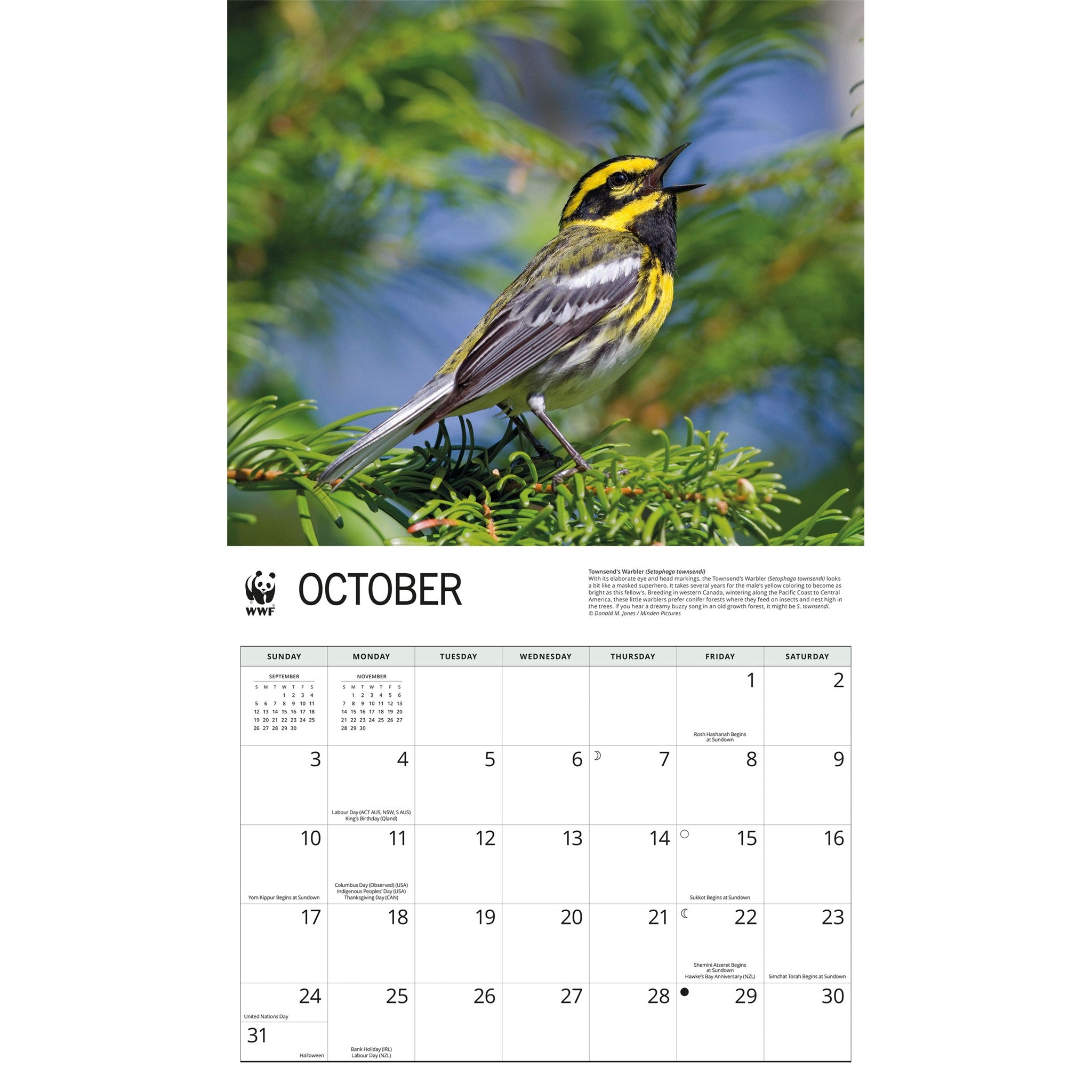 Calendrier mural 2027 Chants d'oiseaux du WWF
