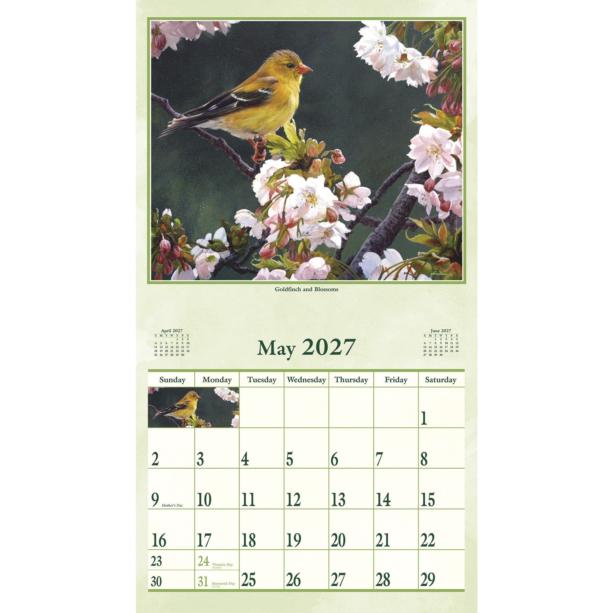 Calendrier mural Ailes de la nature 2027 – Exclusivement en ligne