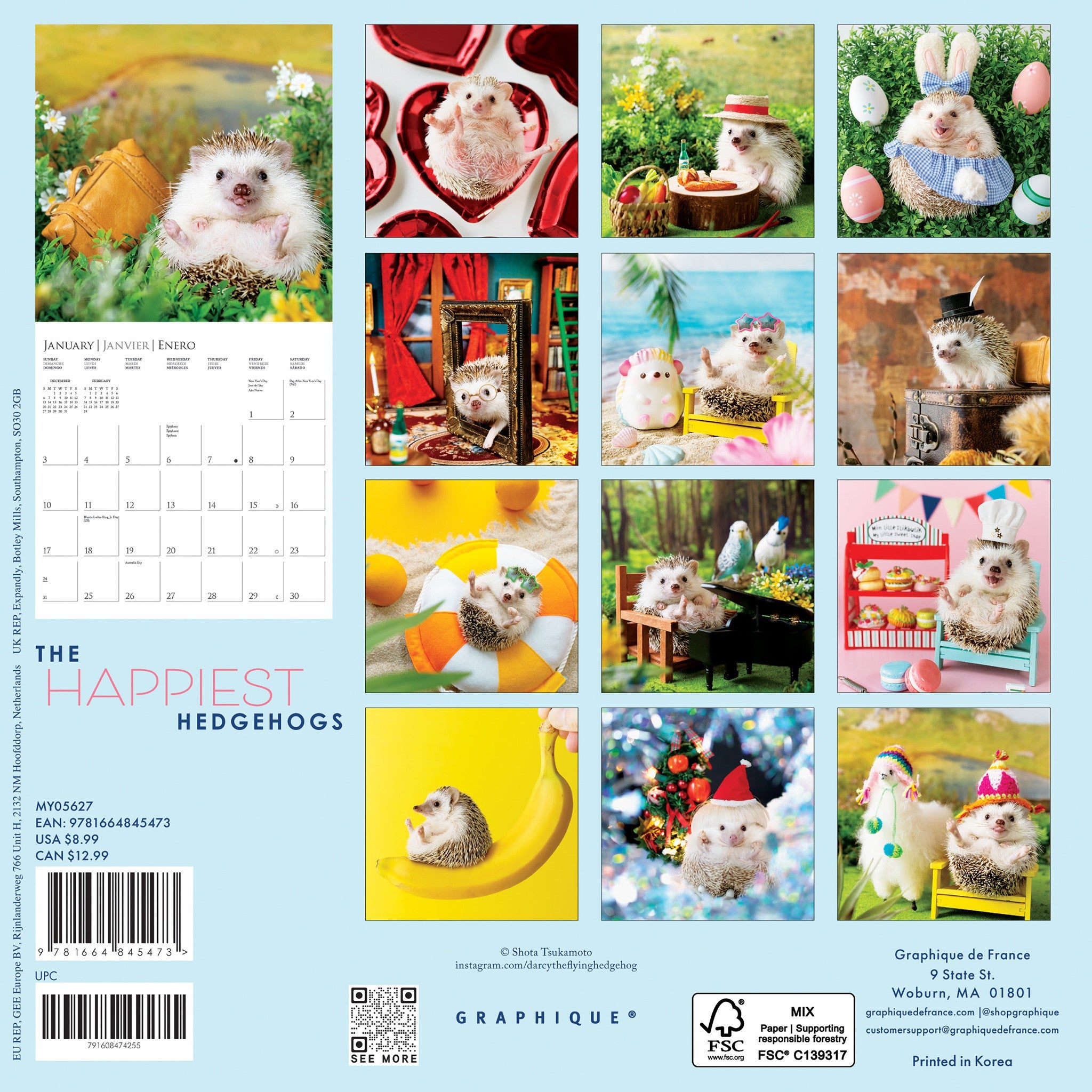Happiest Hedgehogs 2027 Mini Calendar