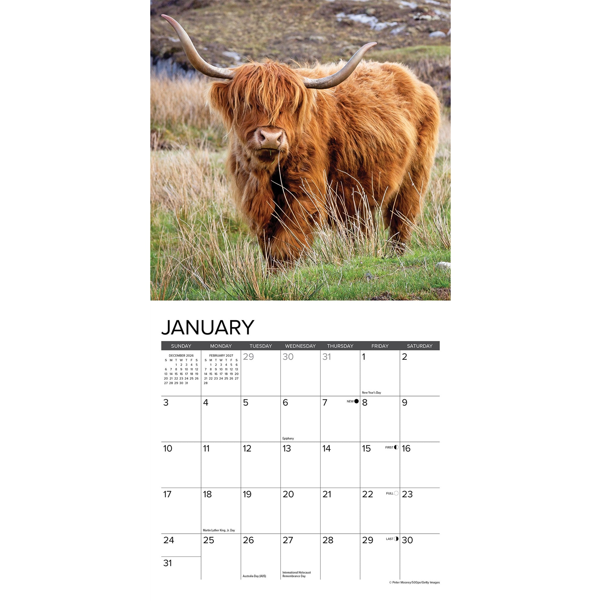 Highland Cows 2027 Mini Calendar