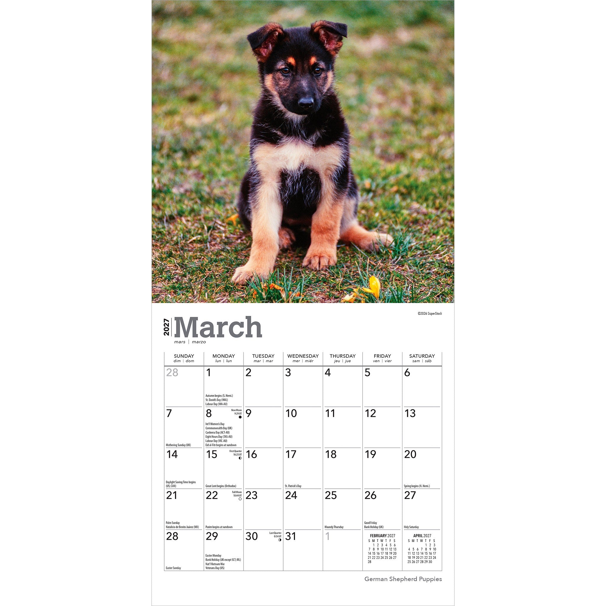 German Shepherd Puppies 2027 Mini Calendar