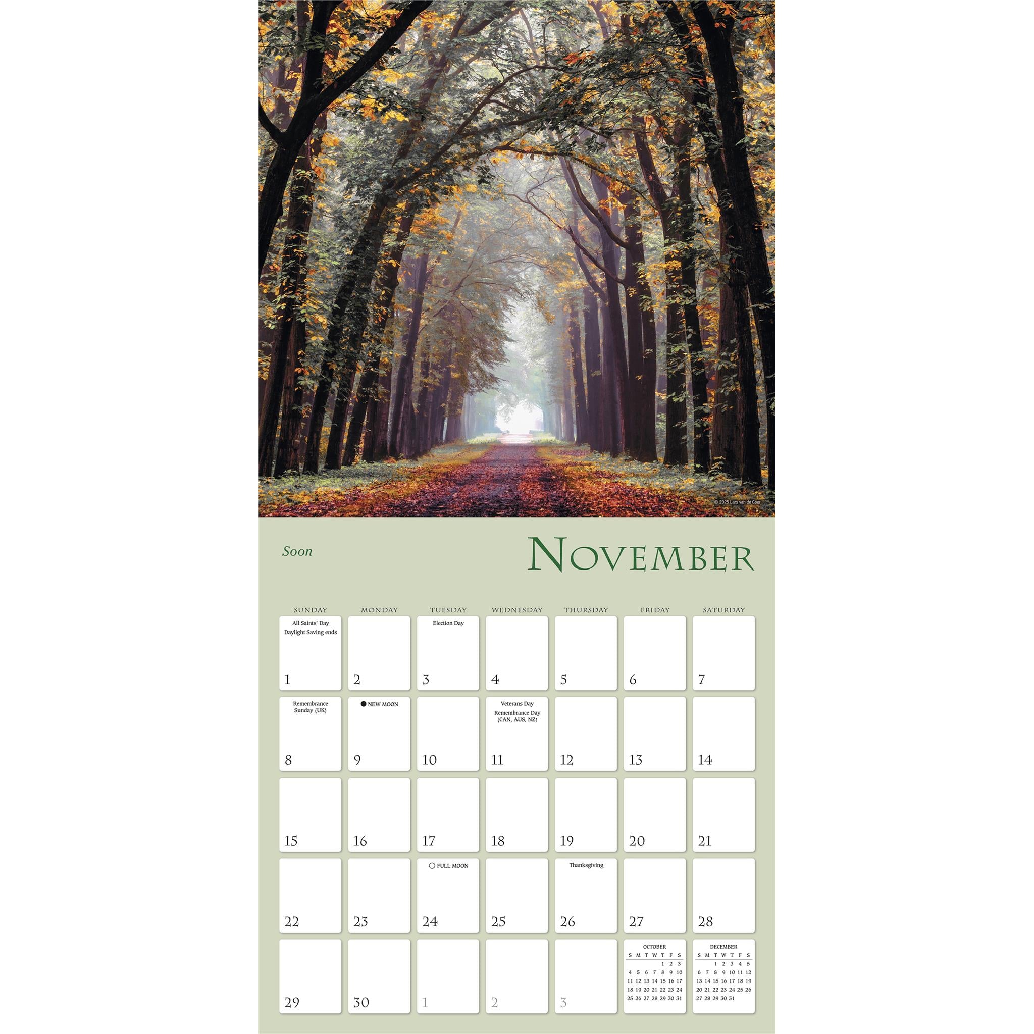 Calendrier mural Chemins enchantés 2026