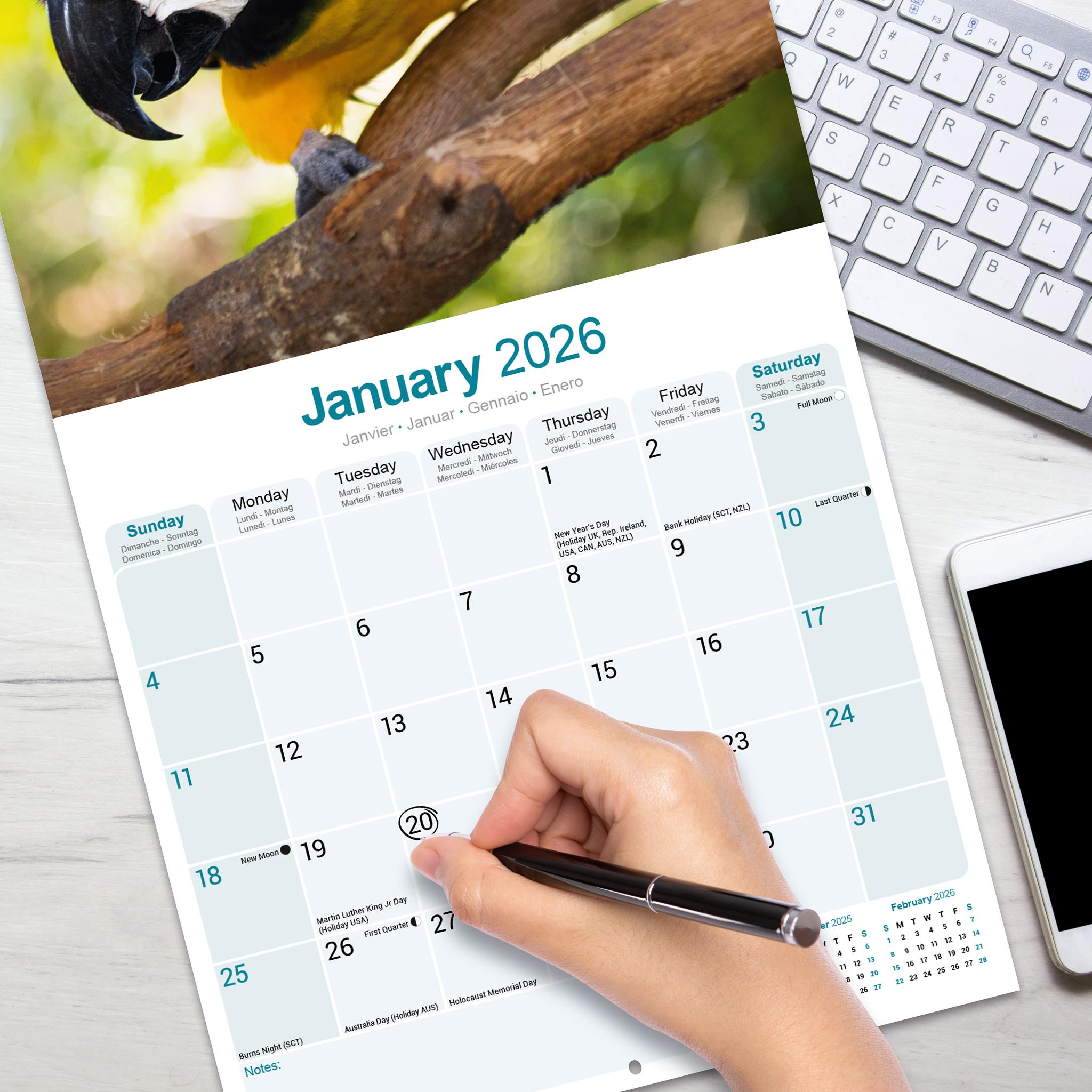 Calendrier mural Macaws 2026