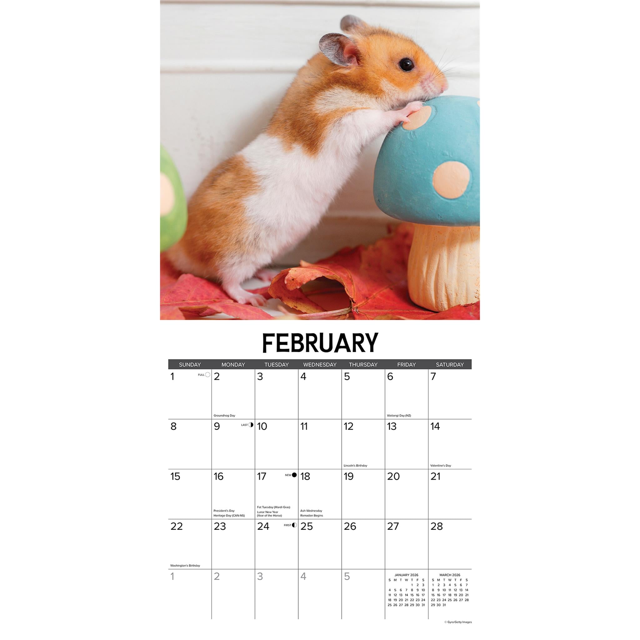 Calendrier mural Hamsters 2026