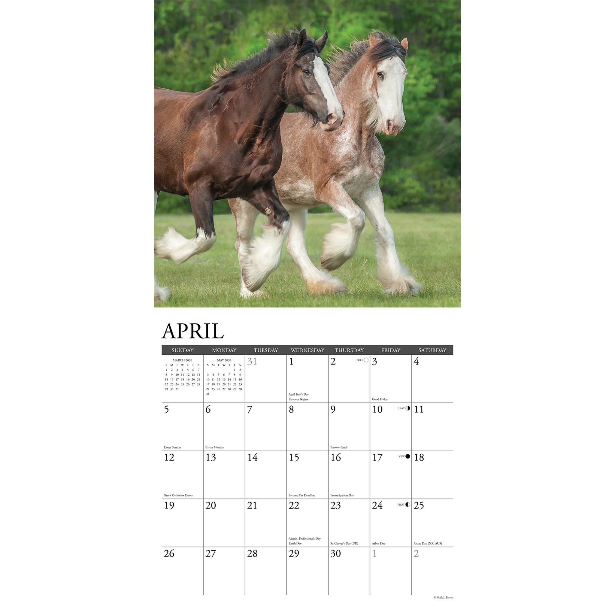 Calendrier mural Clydesdales 2026