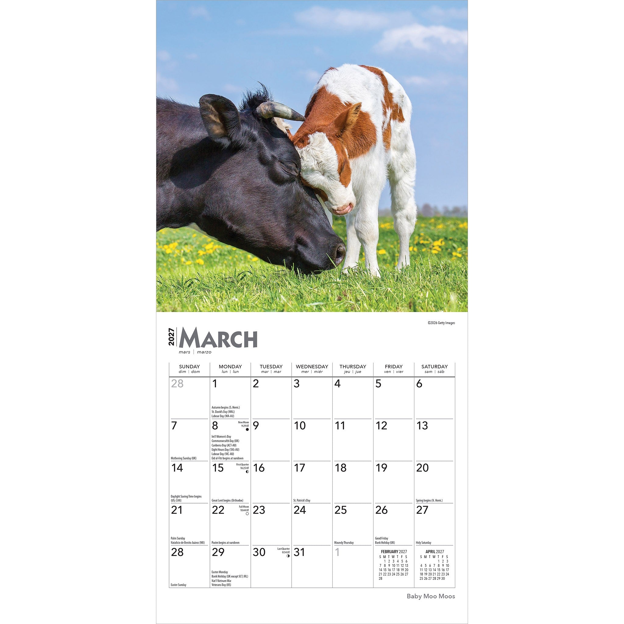 Baby Moo Moos 2027 Mini Calendar - Online Only