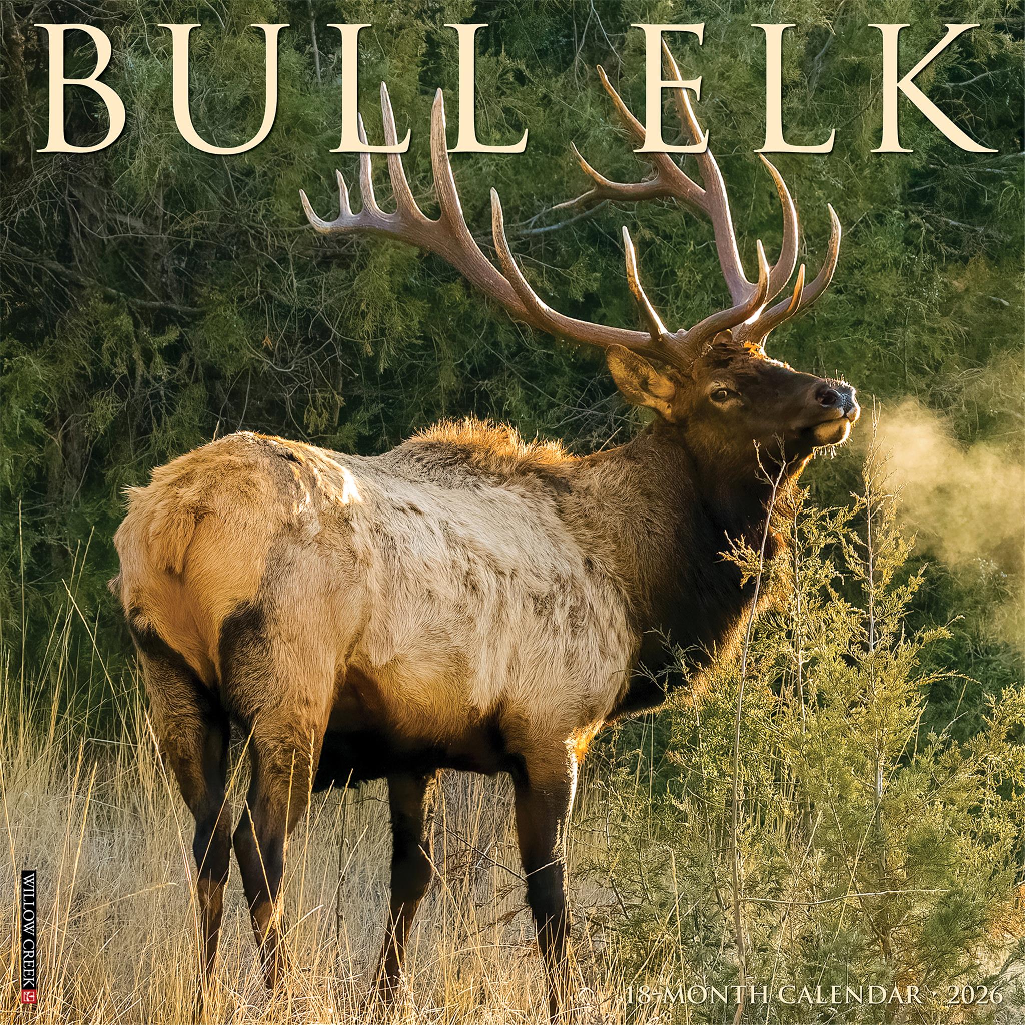 Calendrier mural Bull Elk 2026