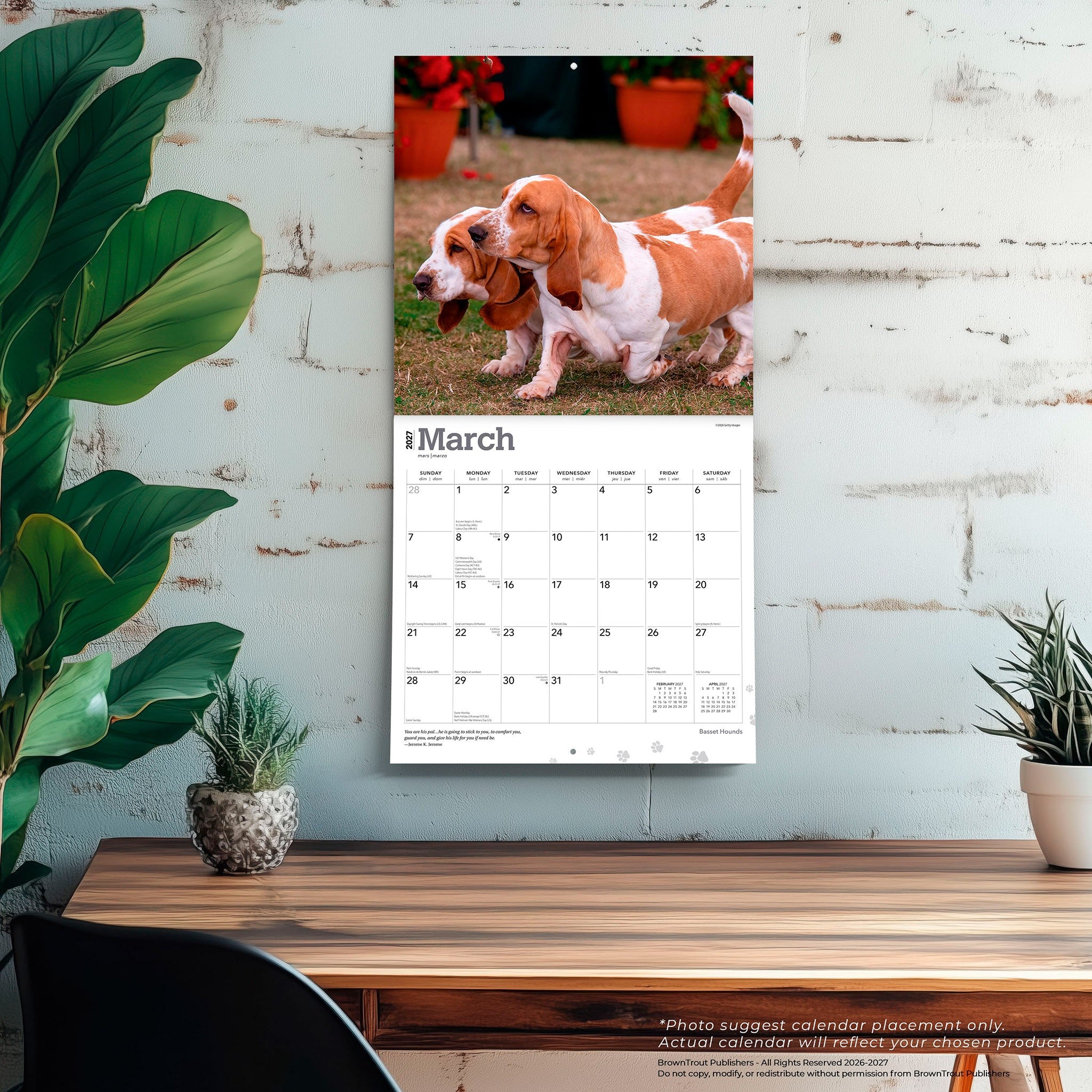 Basset Hounds 2027 Wall Calendar
