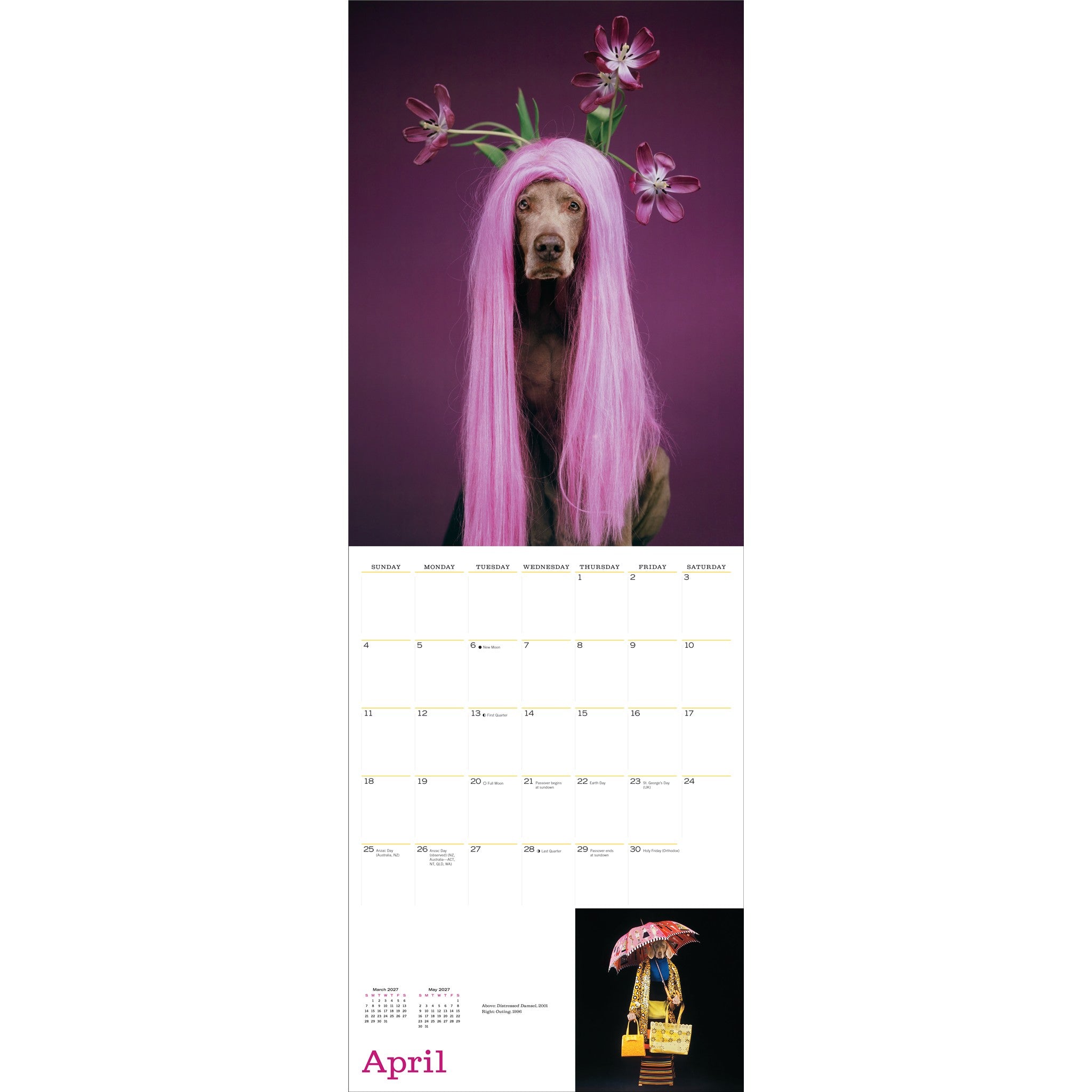William Wegman Favorite Models 2027 Wall Calendar
