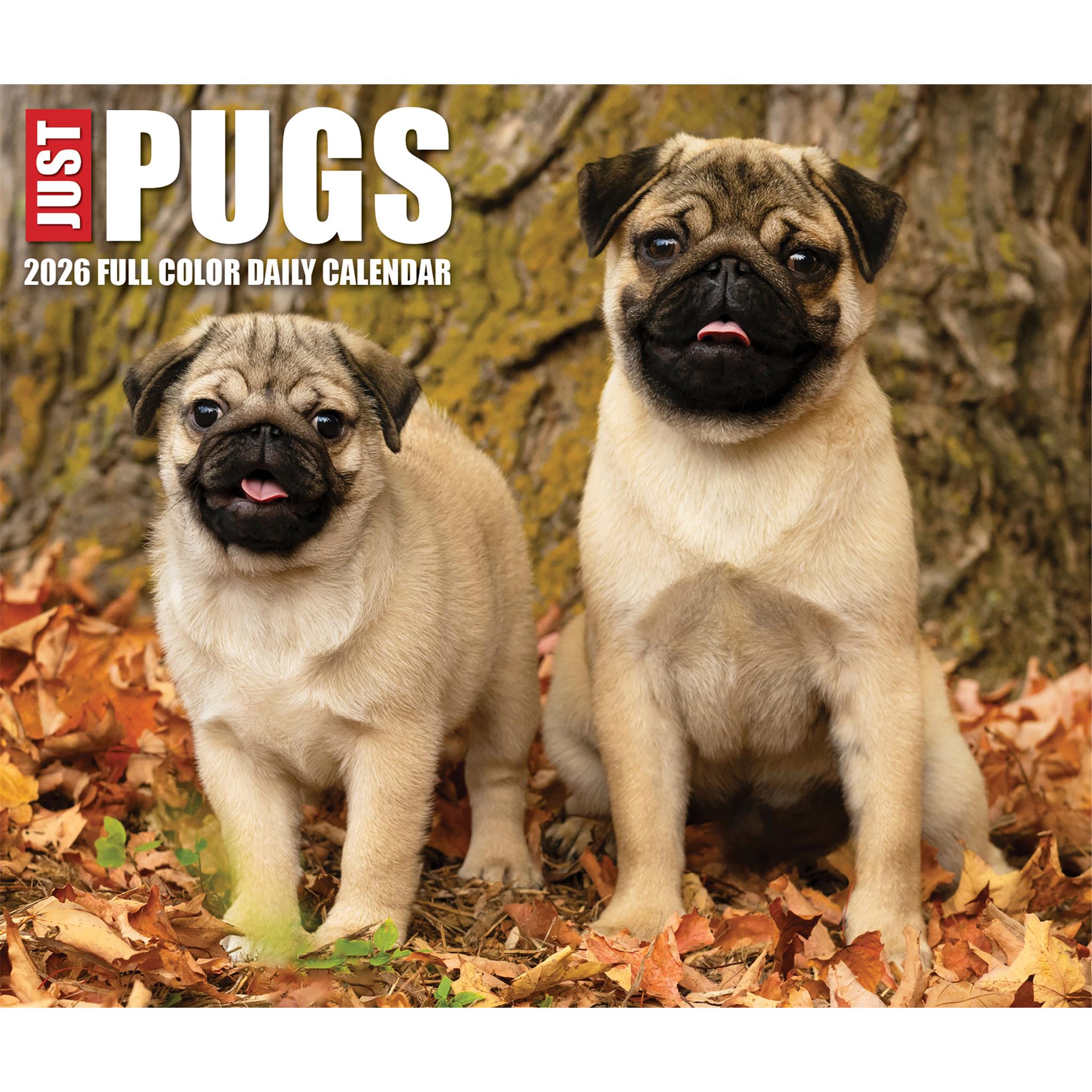 Pugs 2026 Just Box Calendar - Online Only