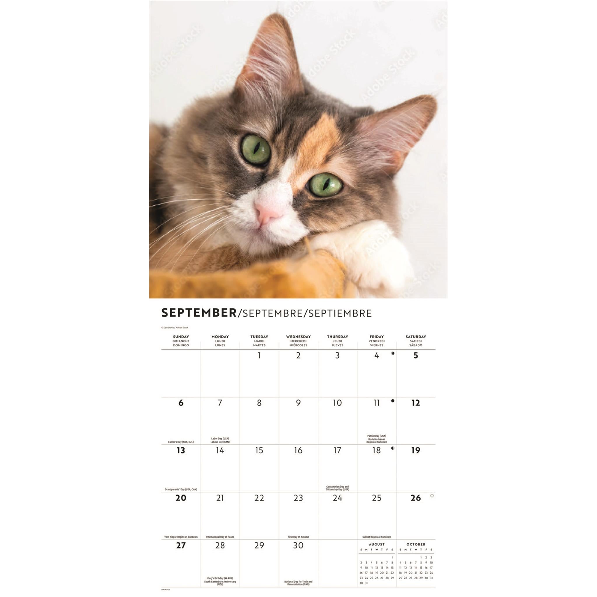 Calendrier mural Amour des chats 2026